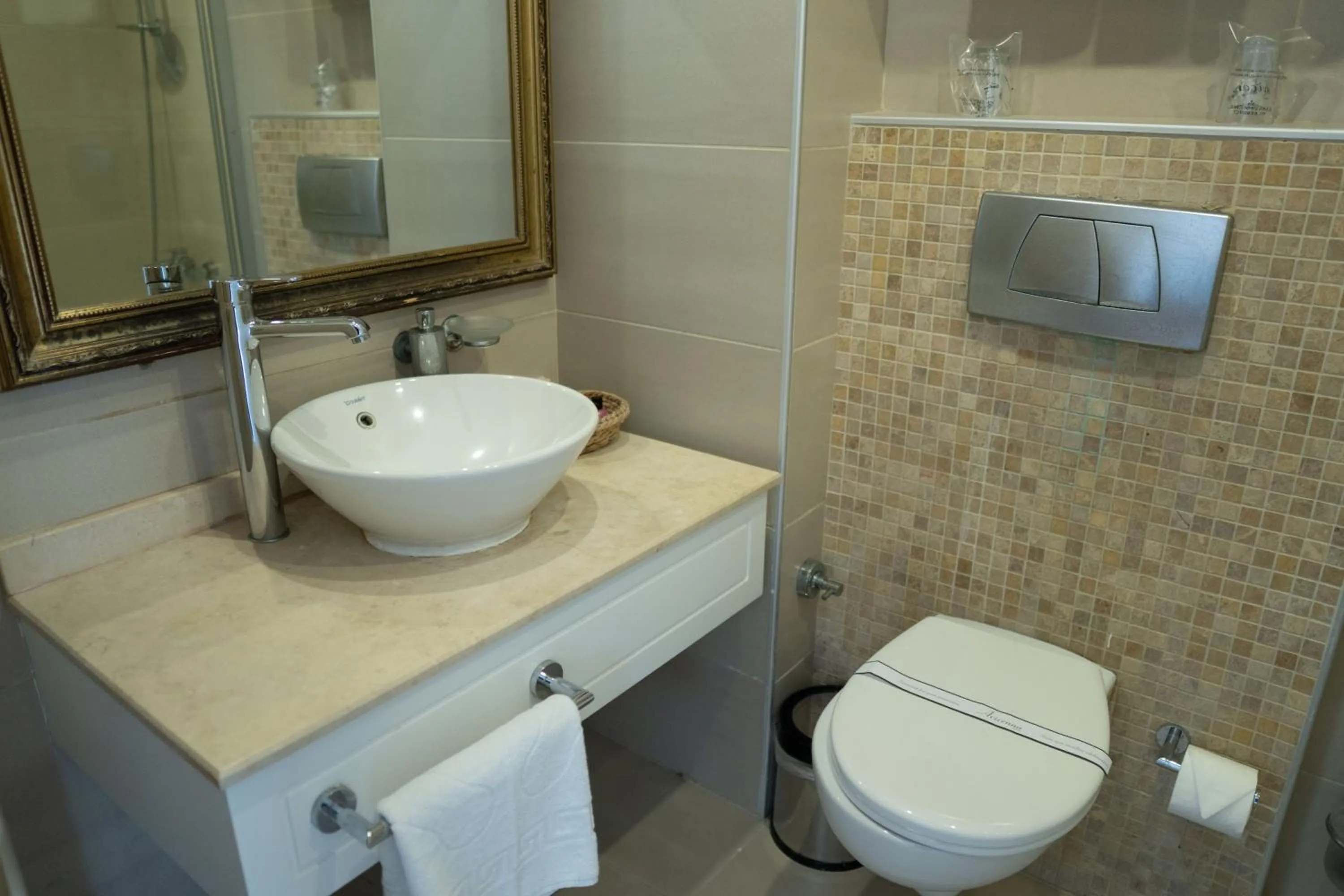 Toilet in Avicenna Hotel Sultanahmet