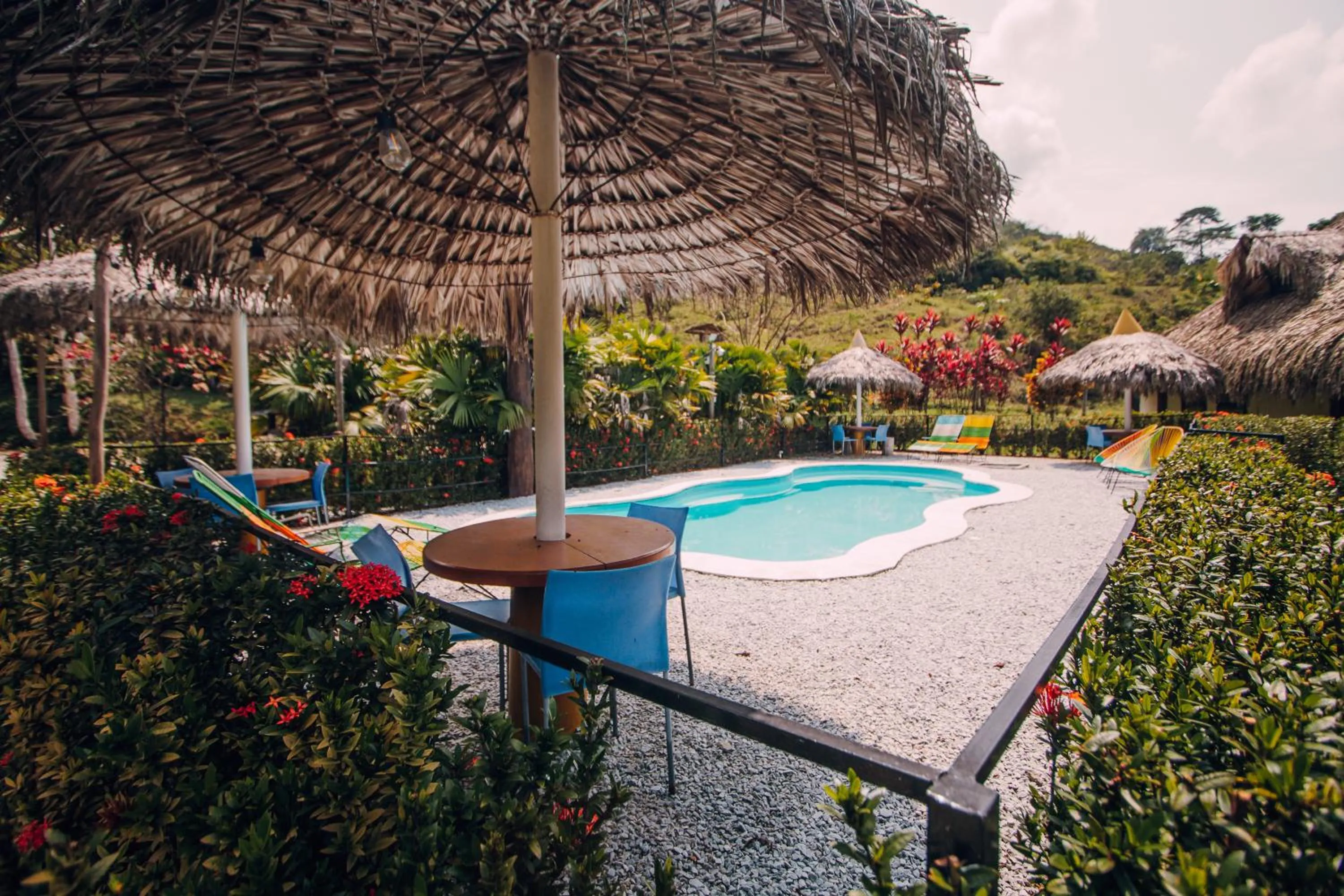 Pool view in Makenke Hostel By Los Colores Ecoparque