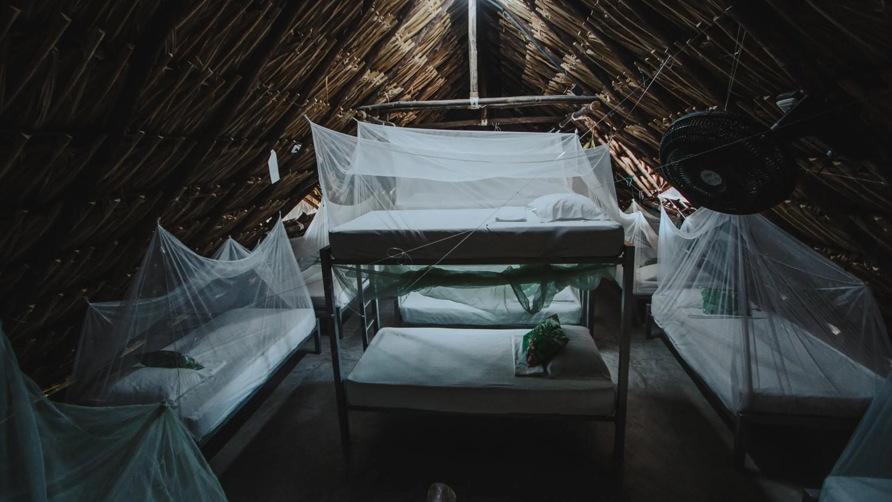 bunk bed, Bed in Makenke Hostel By Los Colores Ecoparque