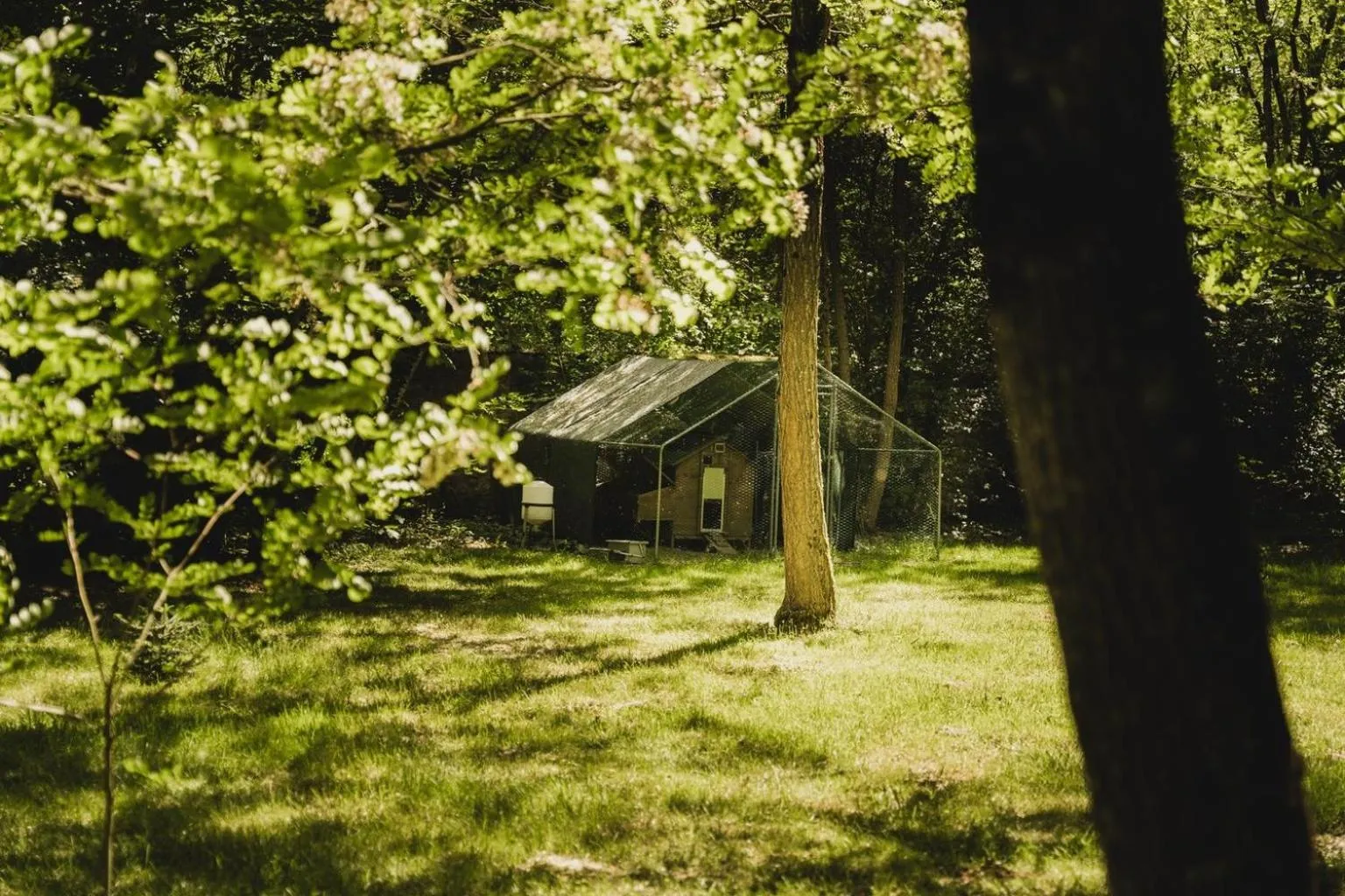 Garden in Domaine de Montizeau