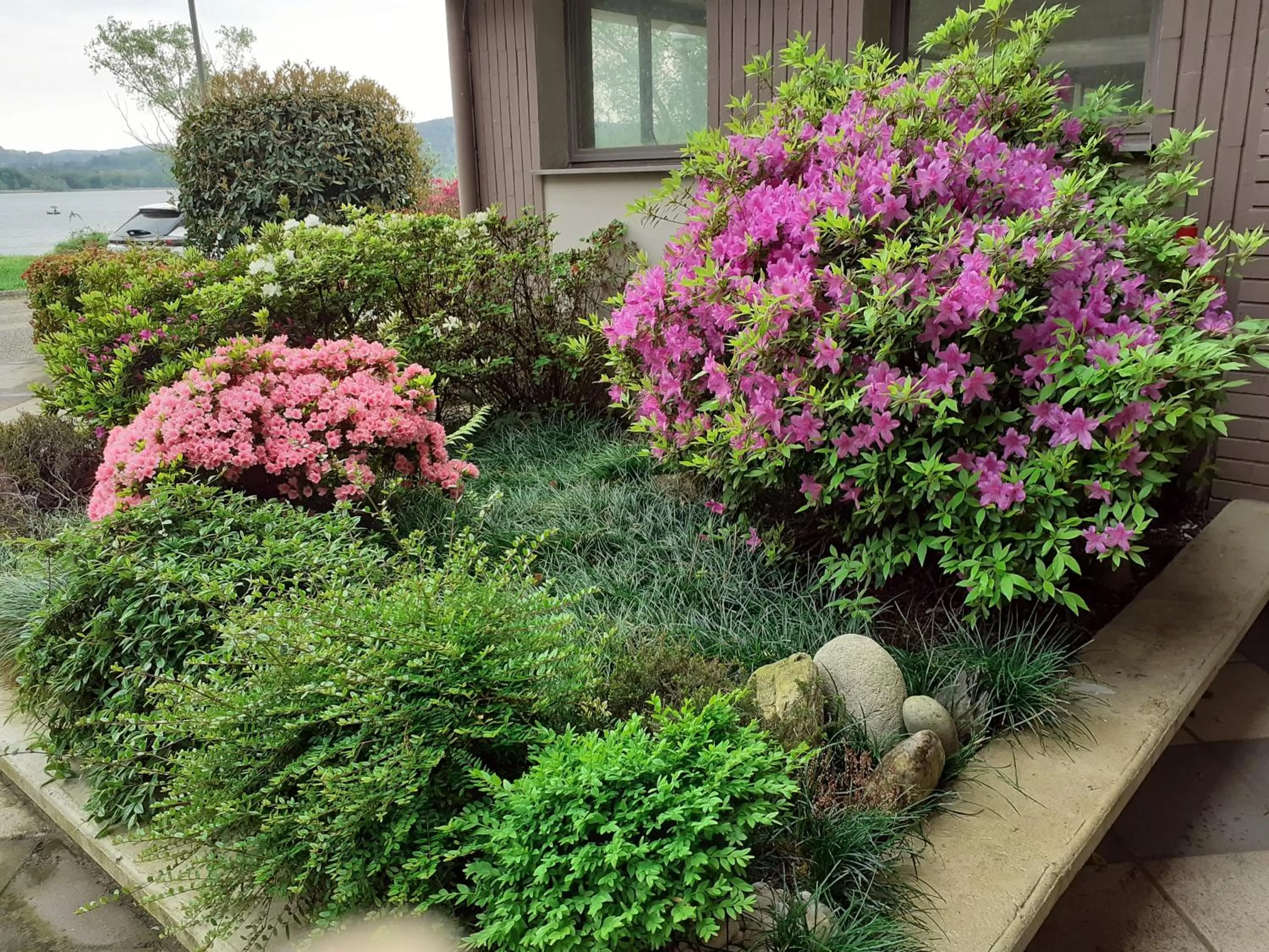 Property building in Room country-lake