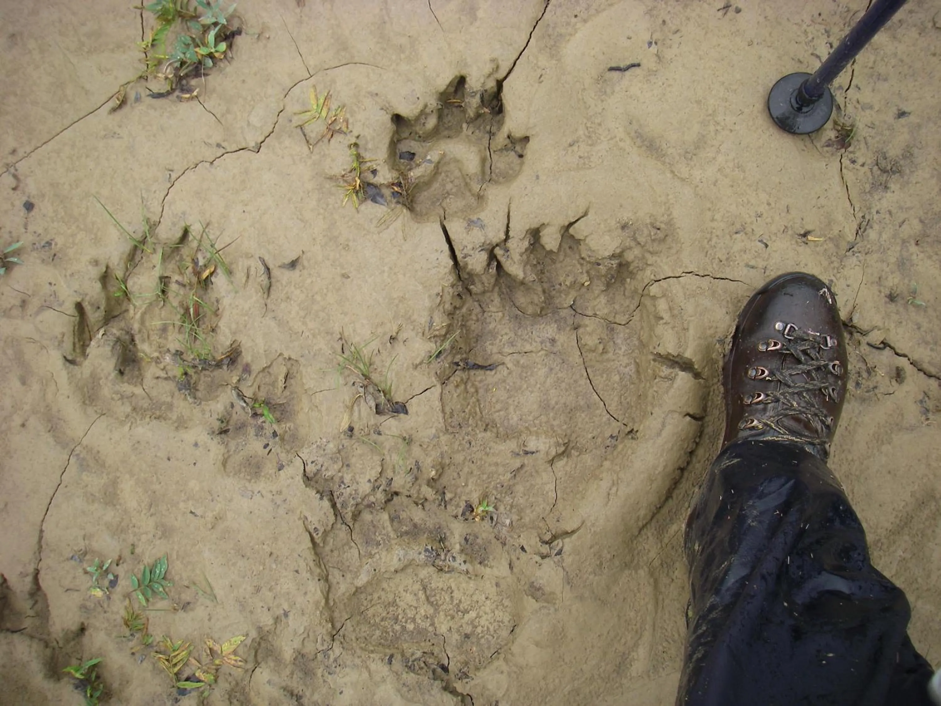 Other in Arctic Paradise B&B