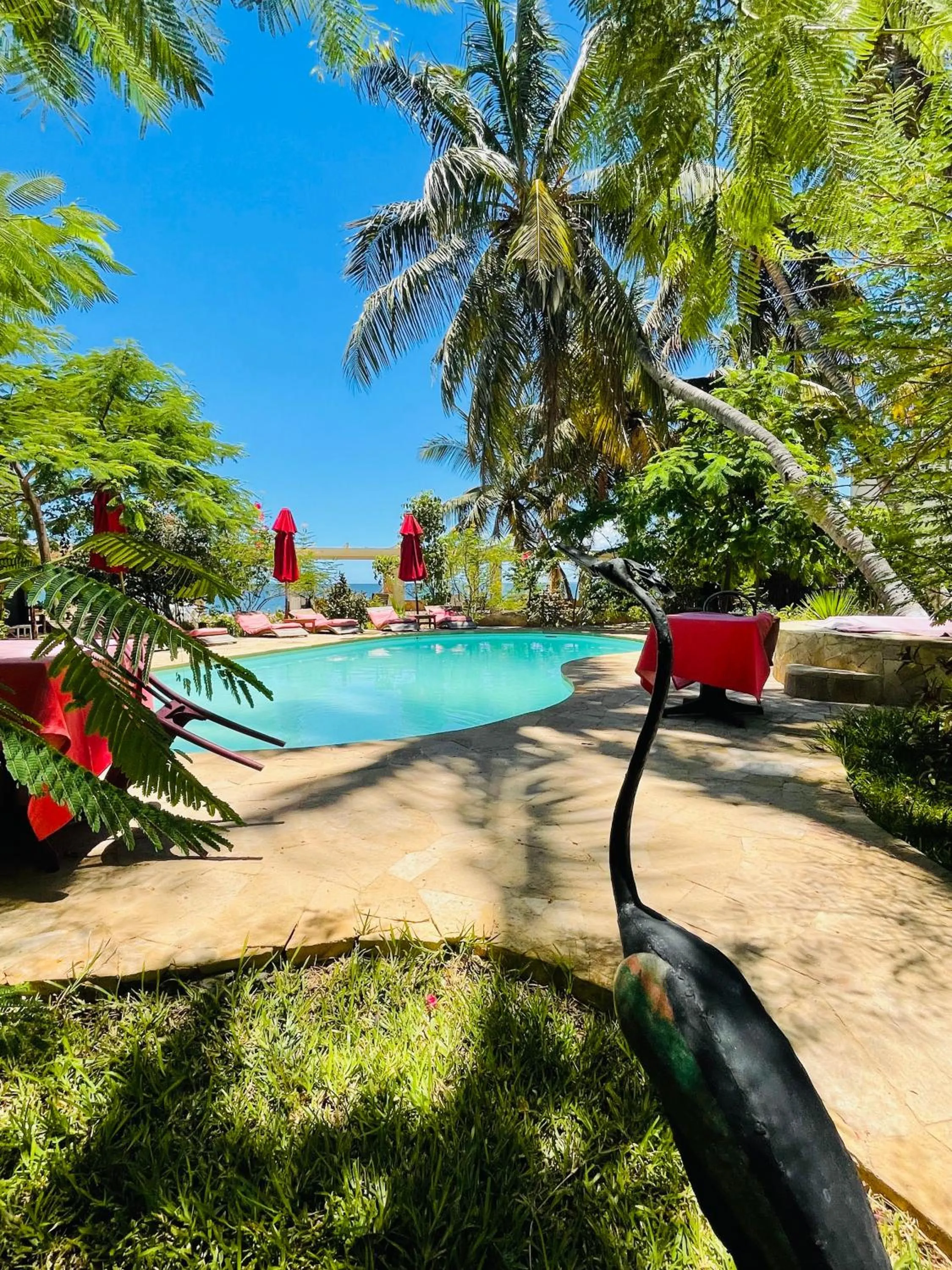 Swimming pool in Ifaty Beach Club Resort