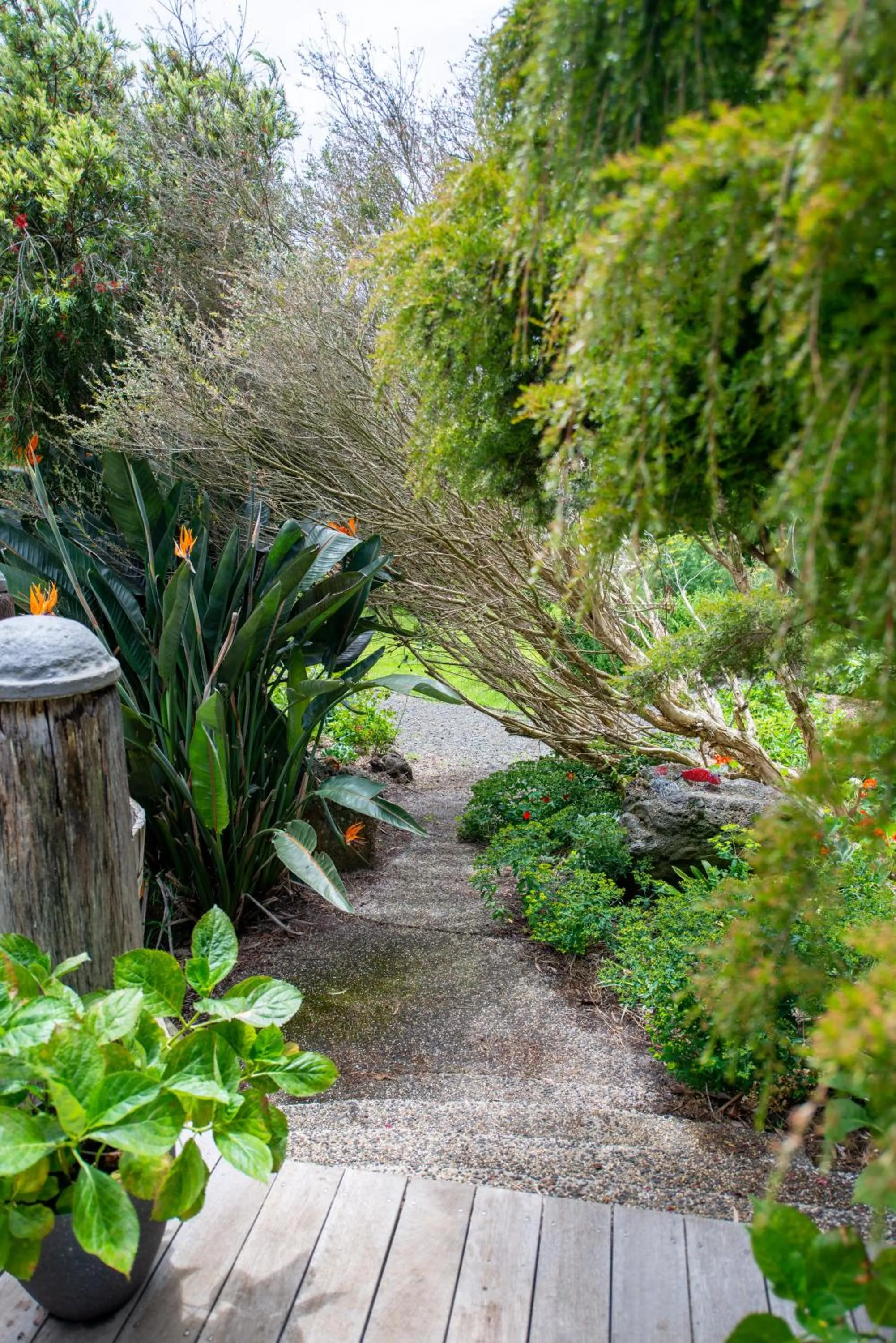 Garden in Rhyll Haven Luxury Getaway Apartments