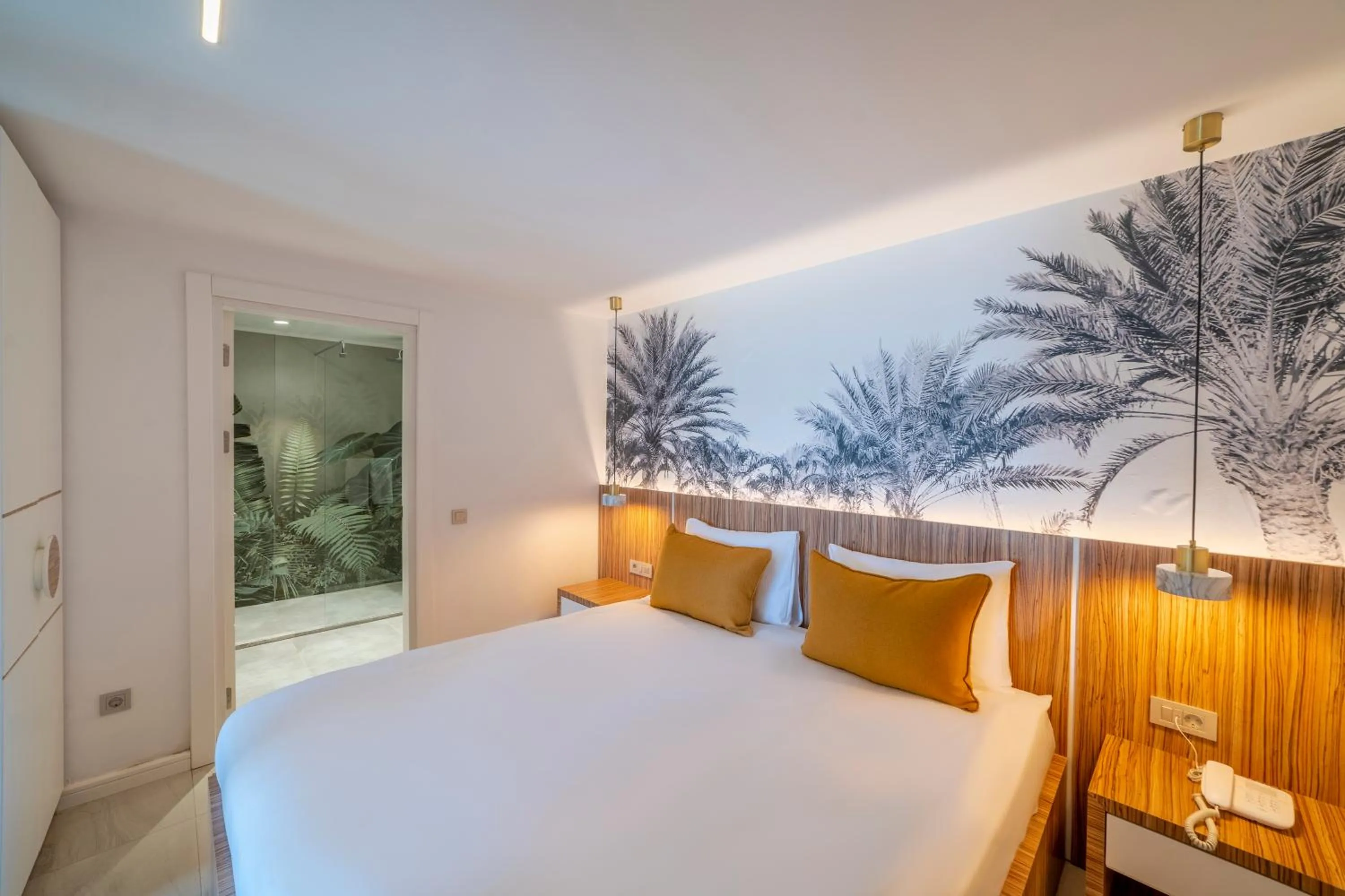 Photo of the whole room in Selluka