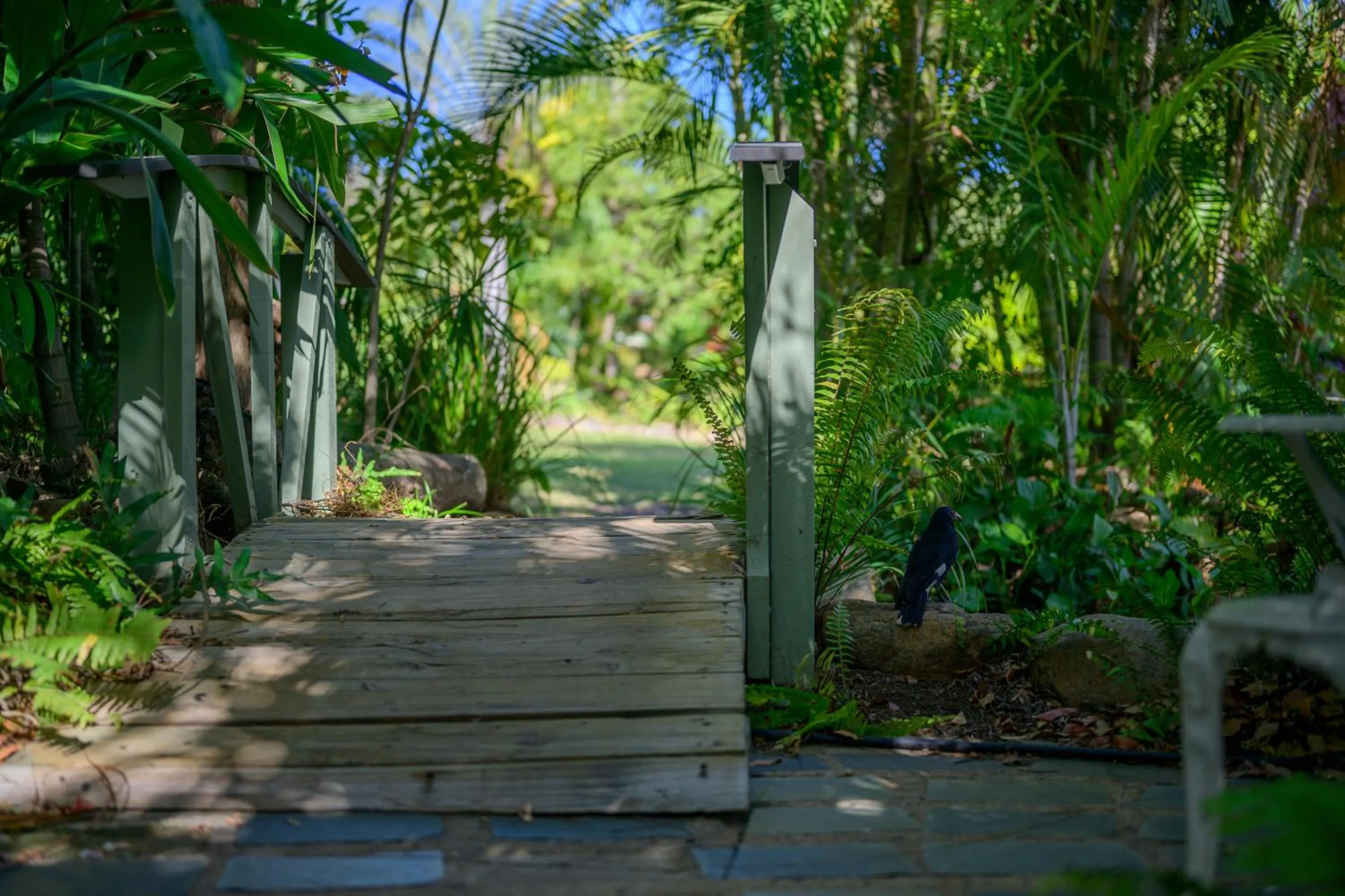 Day in Amaroo On Mandalay, Magnetic Island