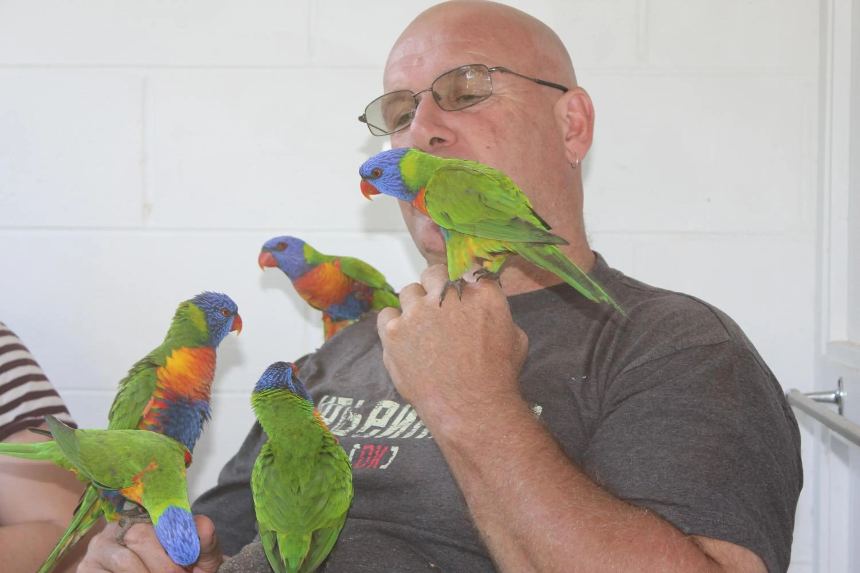 Animals in Amaroo On Mandalay, Magnetic Island