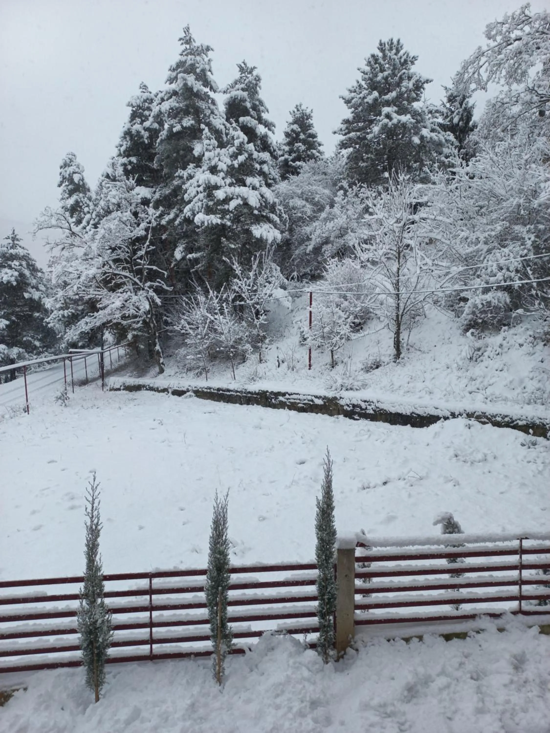 Winter in Holiday Borjomi