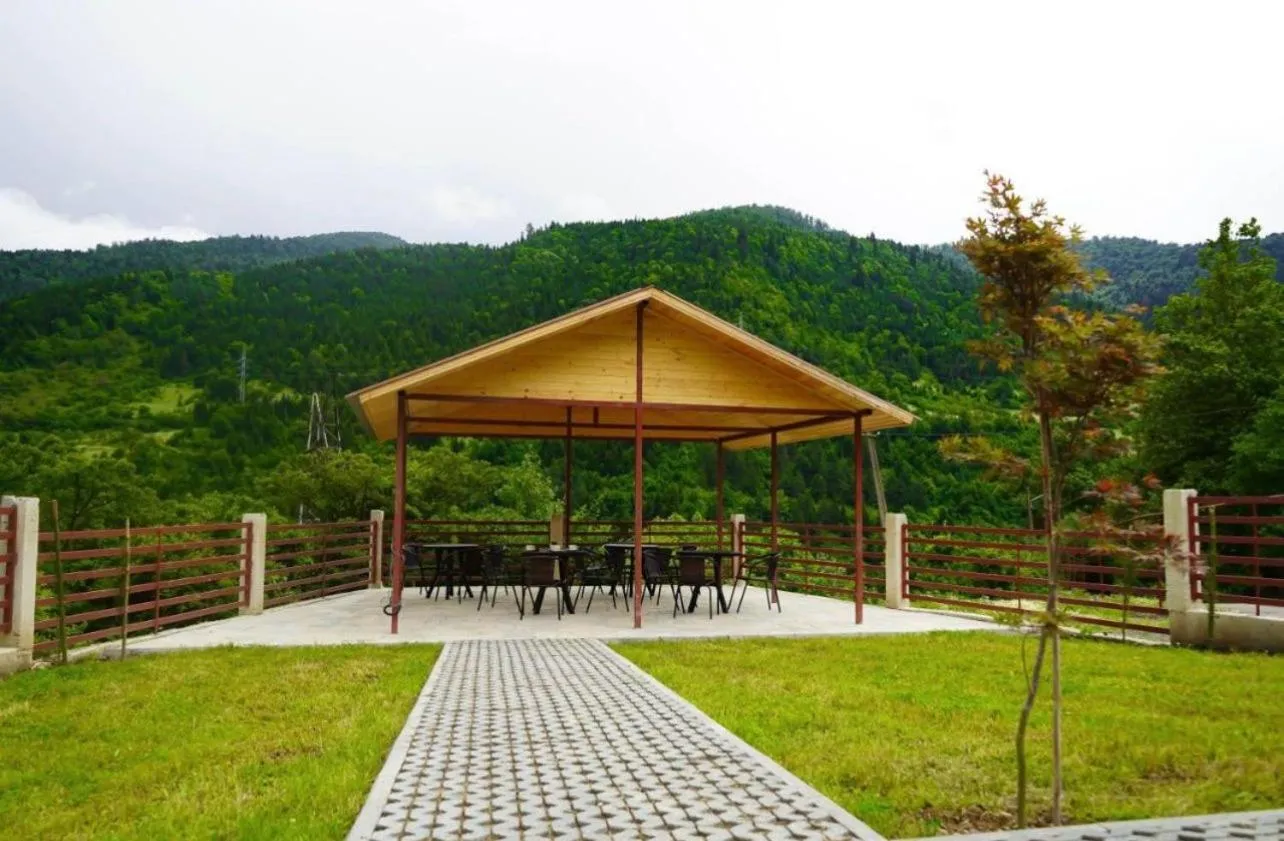 Mountain view in Holiday Borjomi