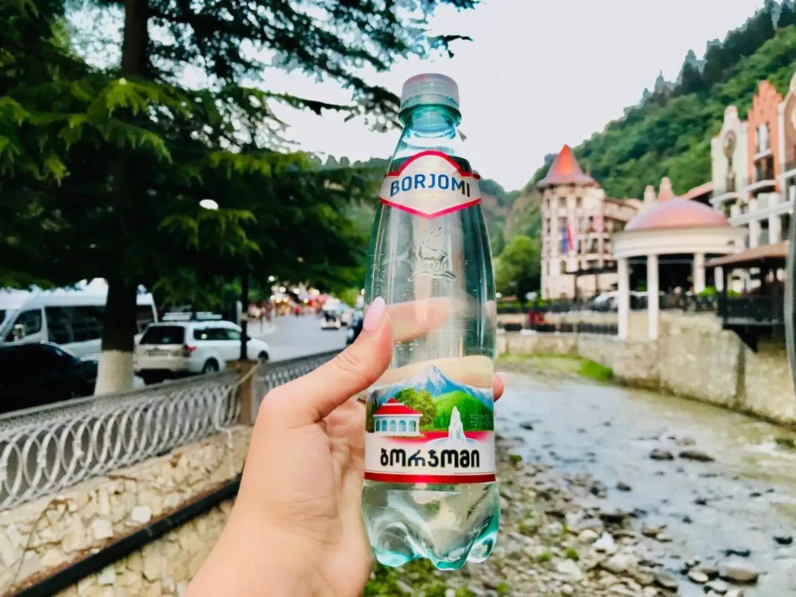 Holiday Borjomi