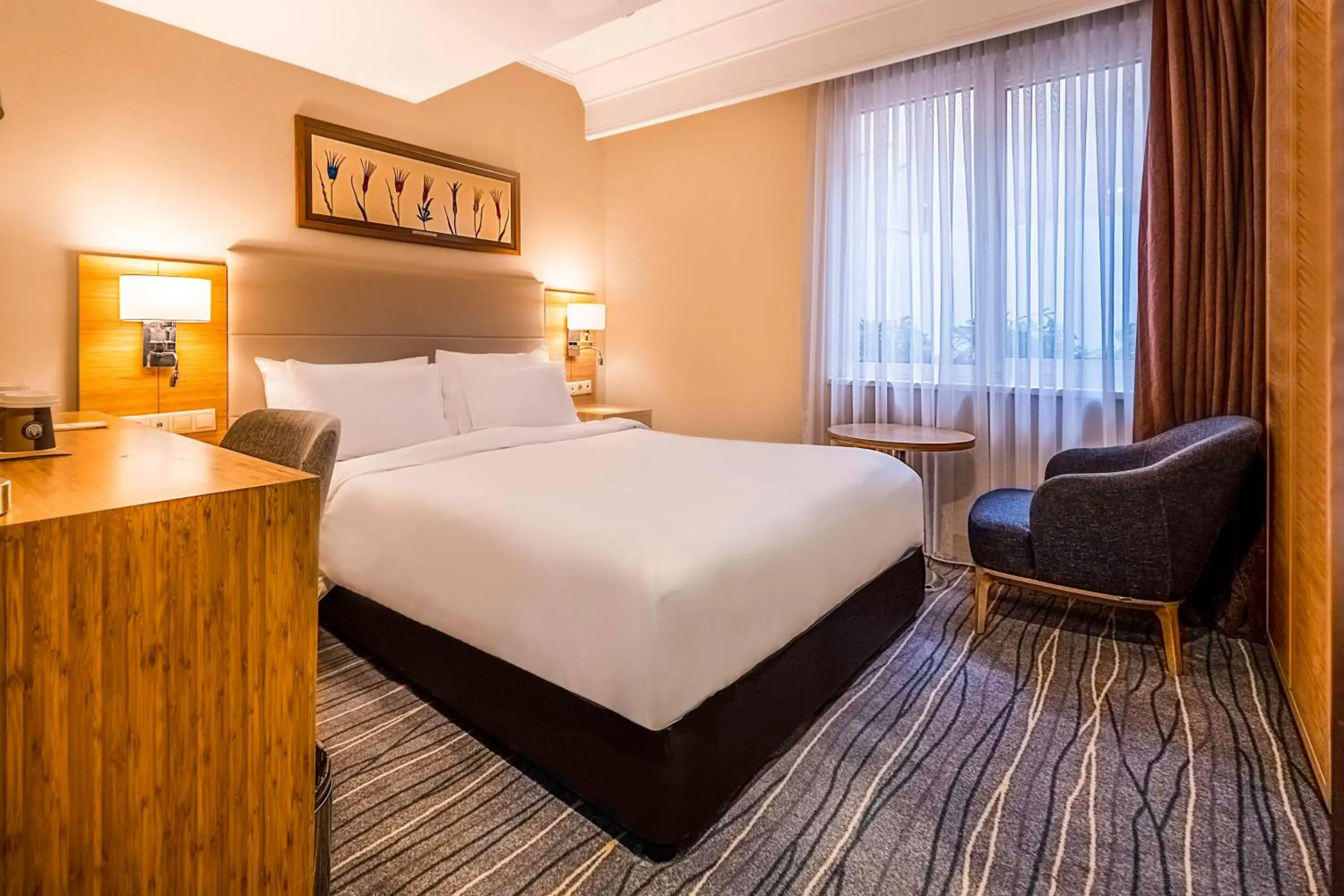 Single Room in Radisson Hotel President Old Town Istanbul Single Room in Radisson Hotel President Old Town Istanbul