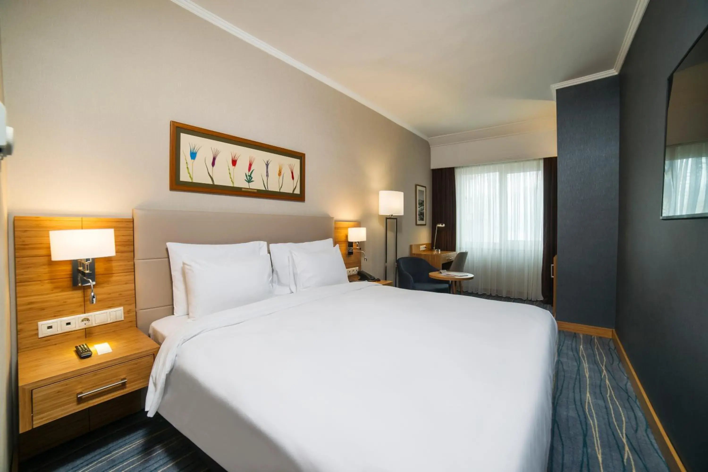 Standard Room with Sea View - Non-Smoking in Radisson Hotel President Old Town Istanbul Standard Room with Sea View - Non-Smoking in Radisson Hotel President Old Town Istanbul