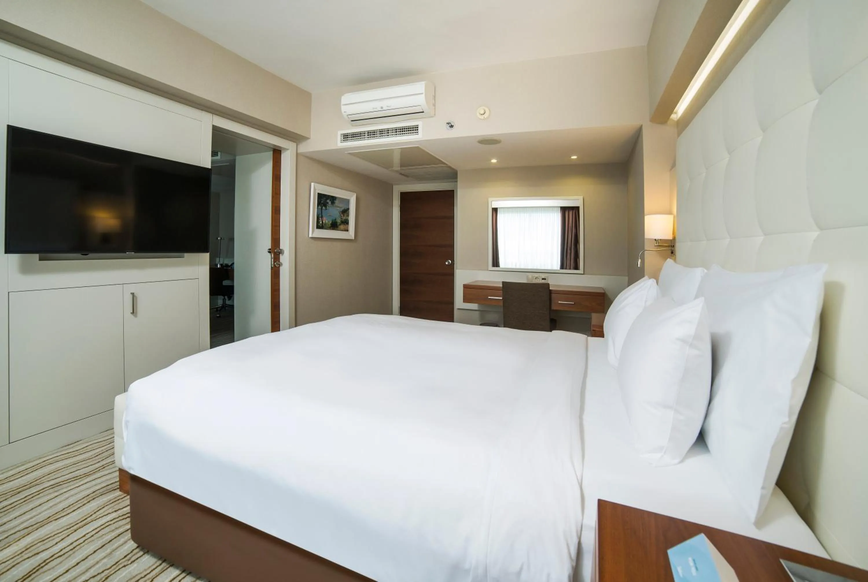 Communal lounge/ TV room in Radisson Hotel President Old Town Istanbul