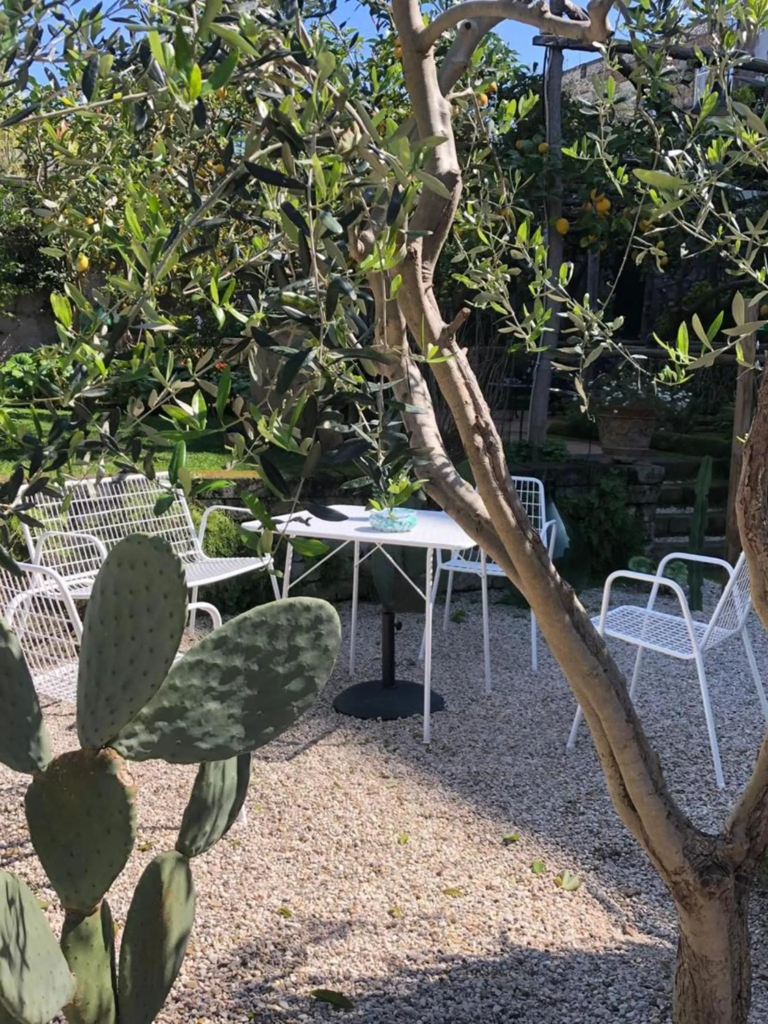 Garden in Chalet Lidia