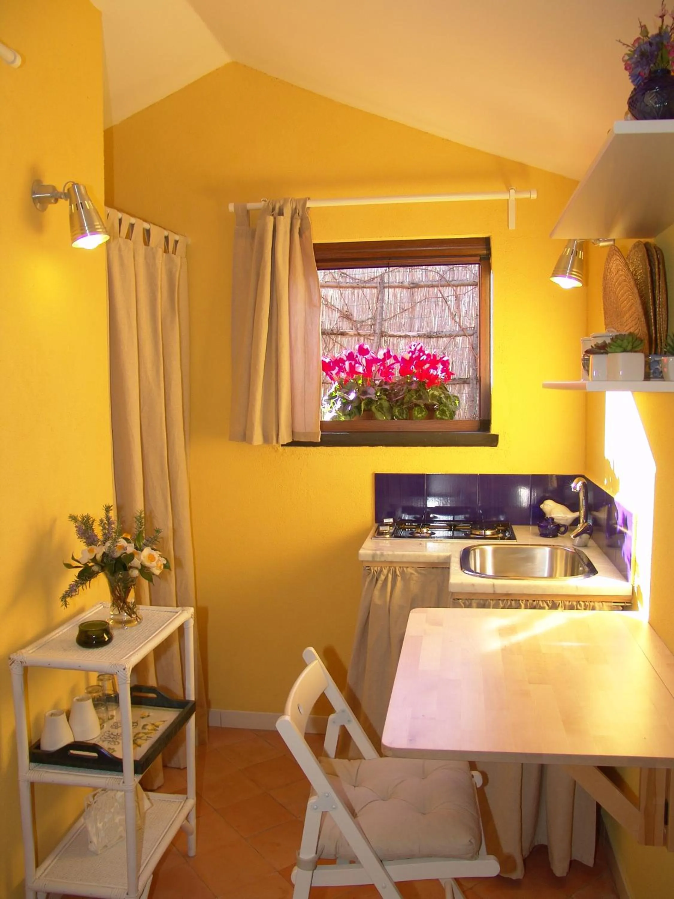 Kitchen or kitchenette in Chalet Lidia