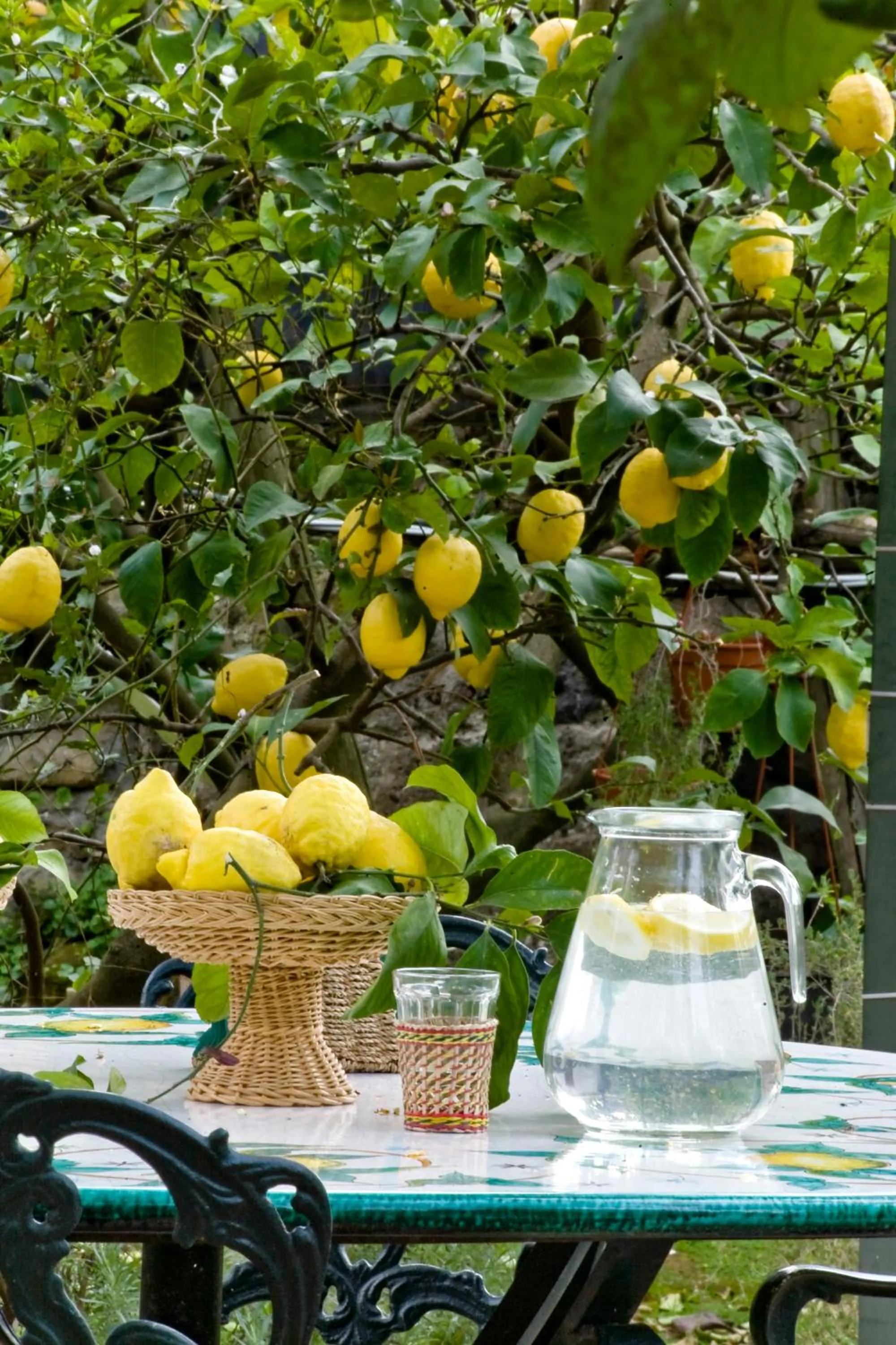 Garden in Chalet Lidia
