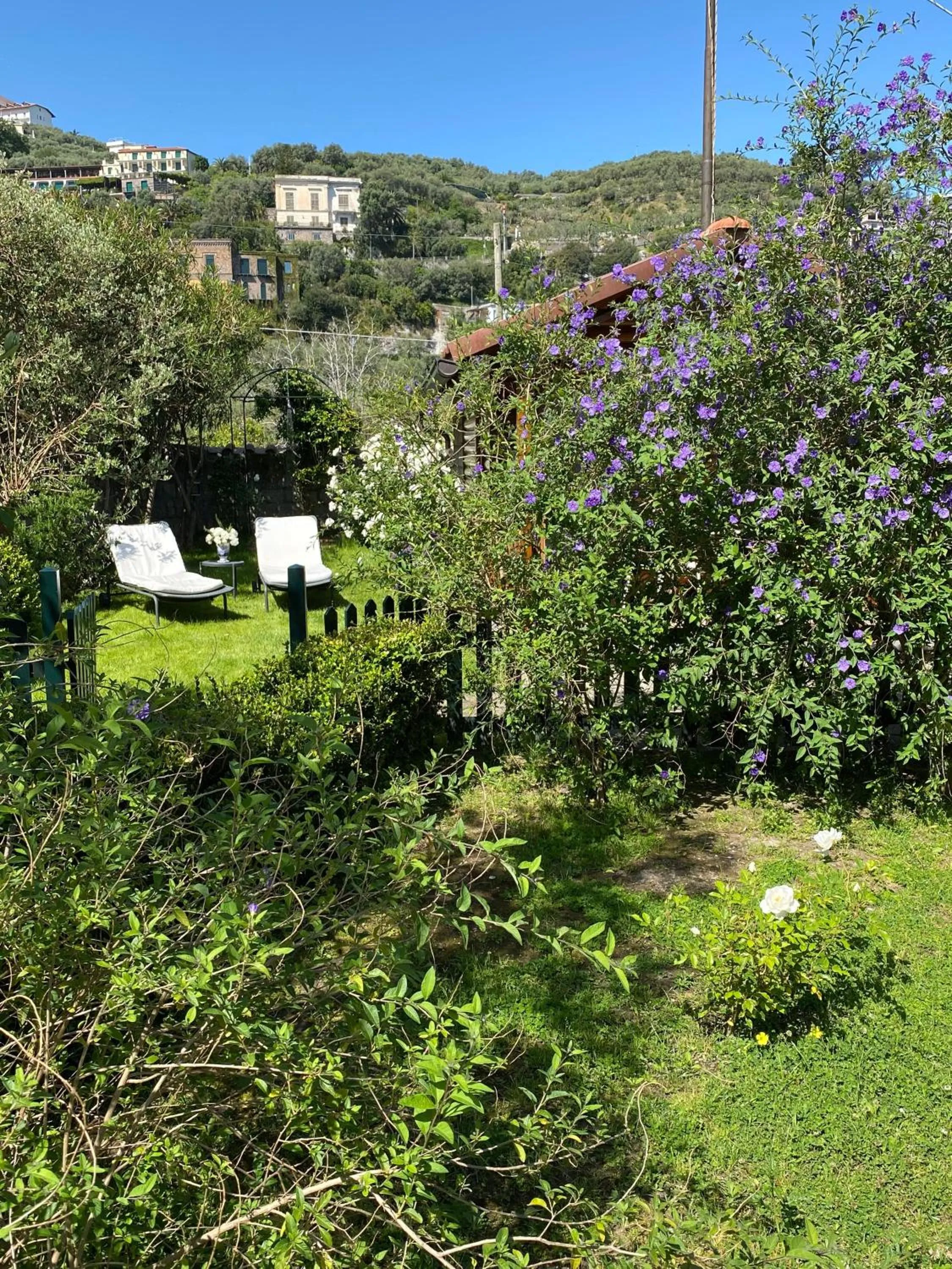Garden in Chalet Lidia