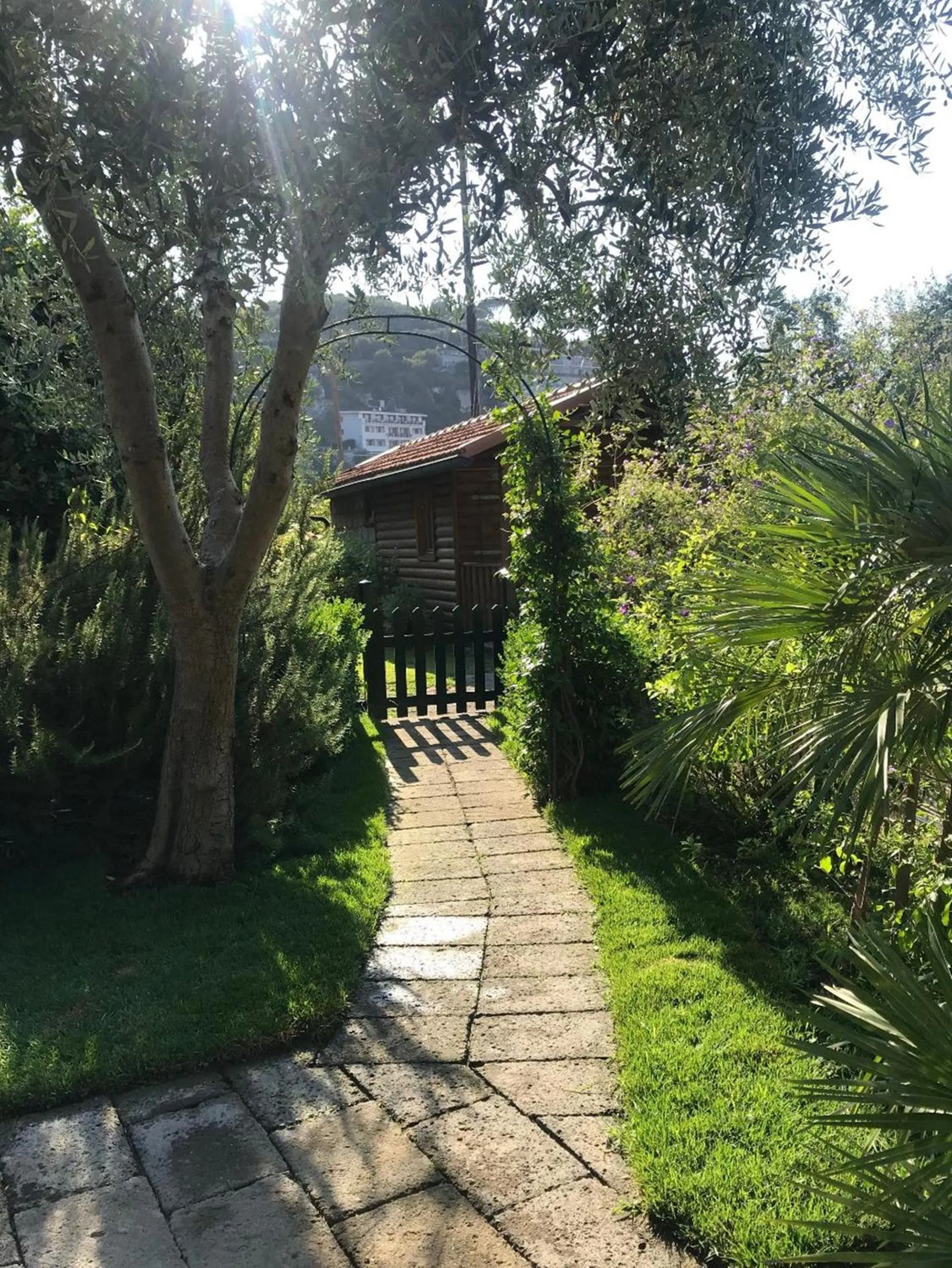 Garden view in Chalet Lidia
