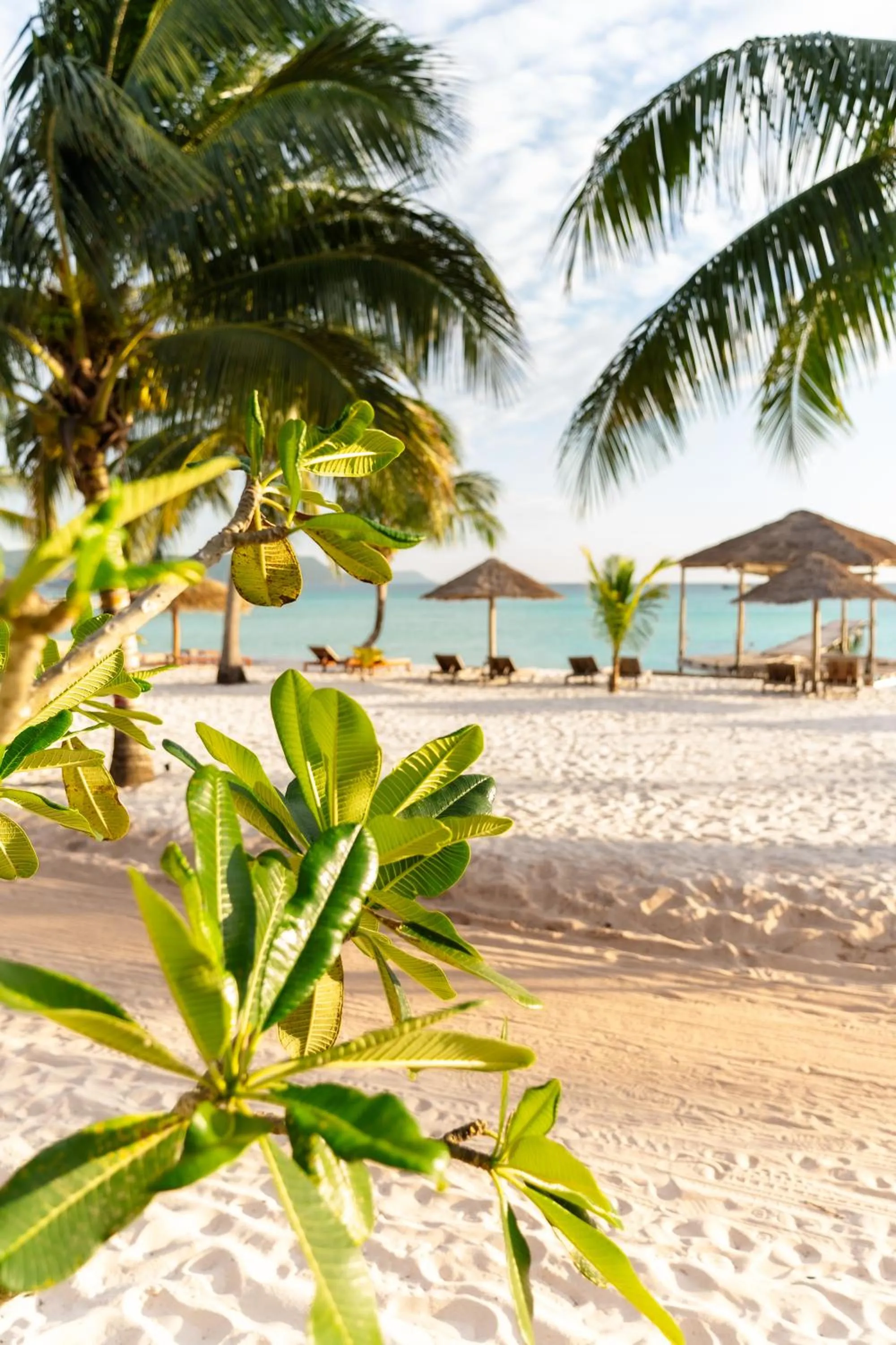 Natural landscape in Golden Beach Resort