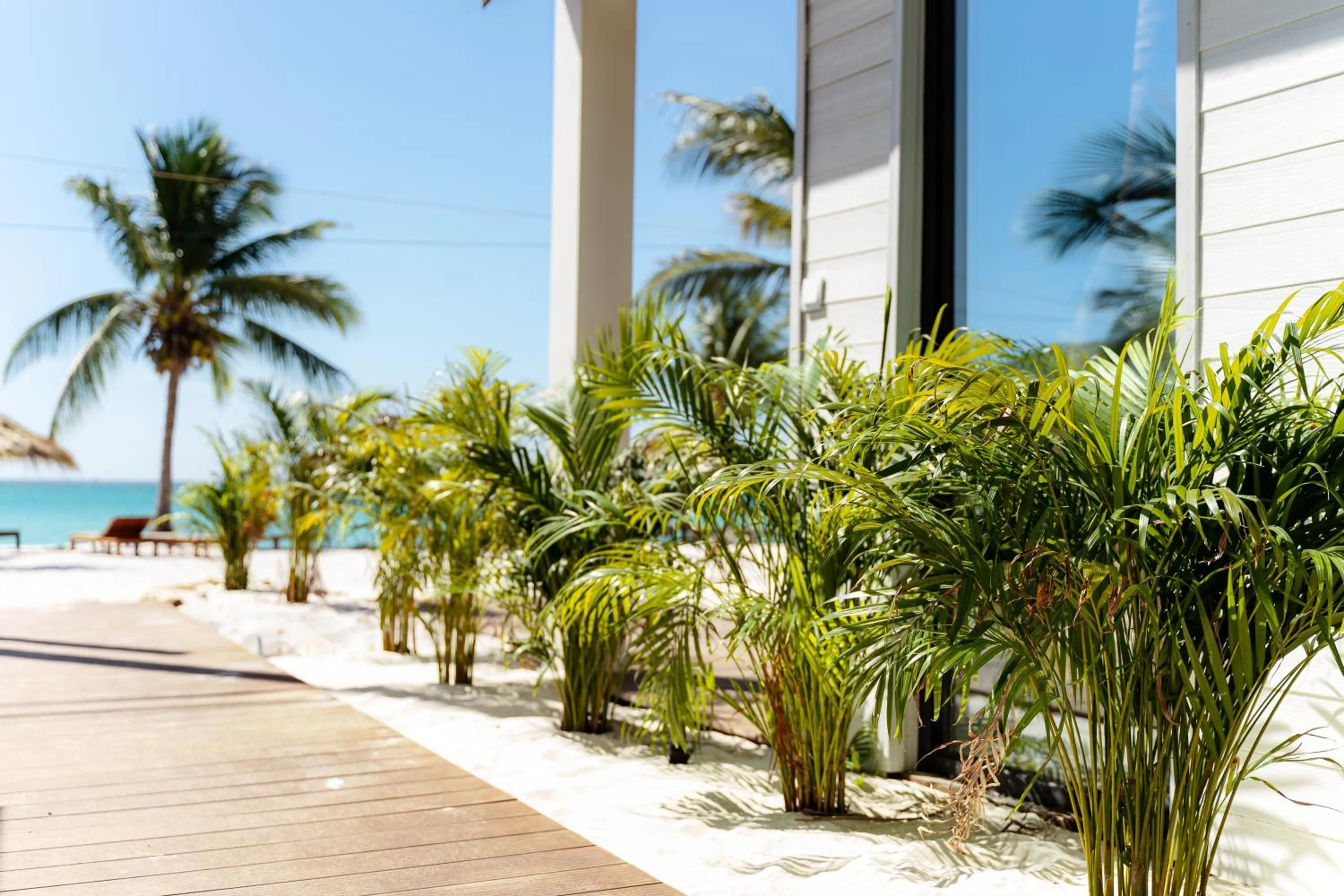 Natural landscape in Golden Beach Resort