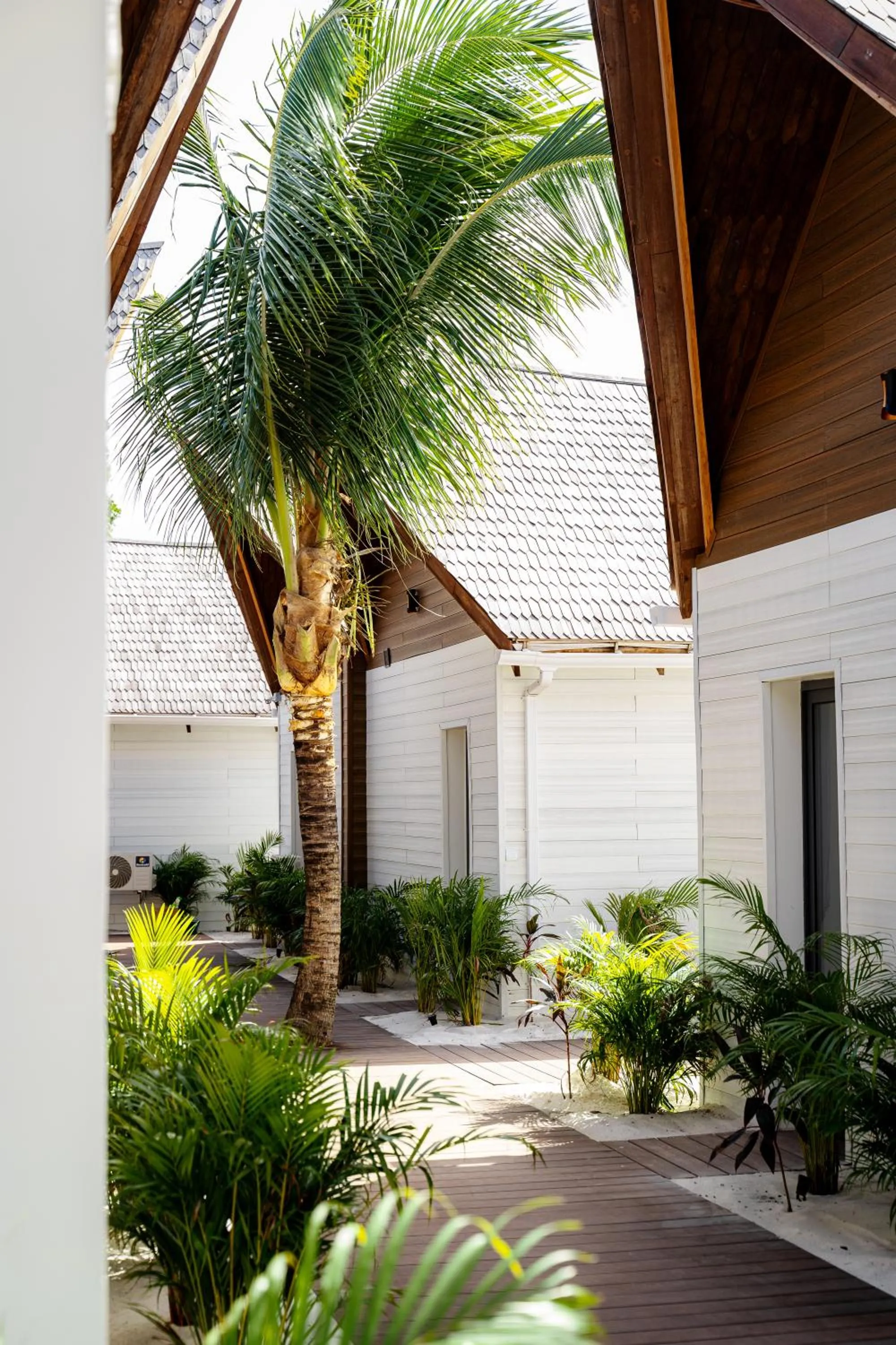 Garden in Golden Beach Resort