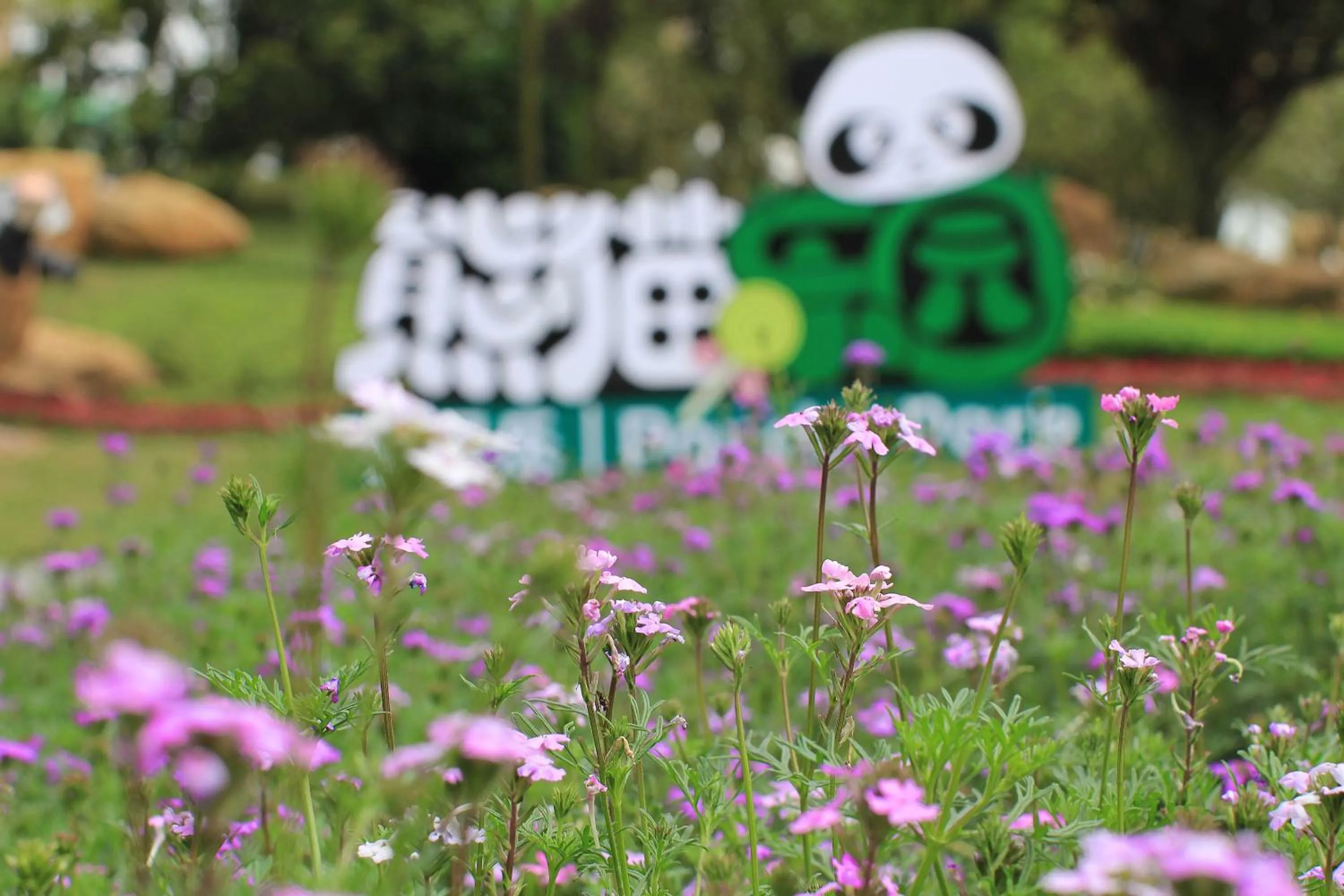 Children play ground in Howard Johnson Agile Plaza Chengdu