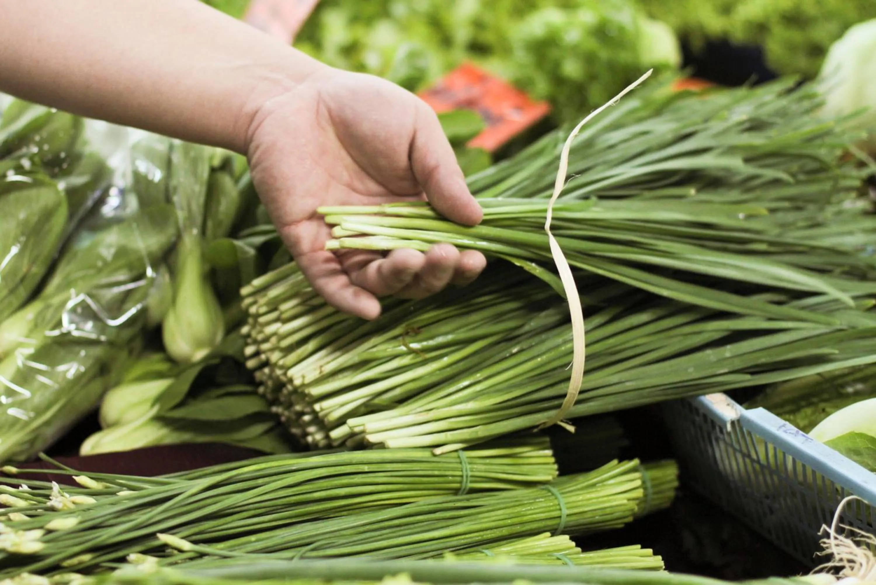 Activities in Sireeampan Boutique Resort and Spa