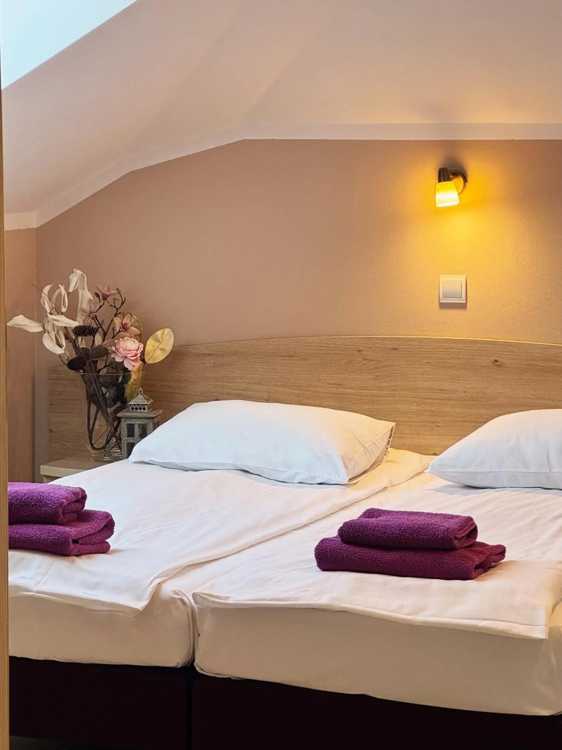 Family Studio in Dworek nad Wisłą Family Studio in Dworek nad Wisłą