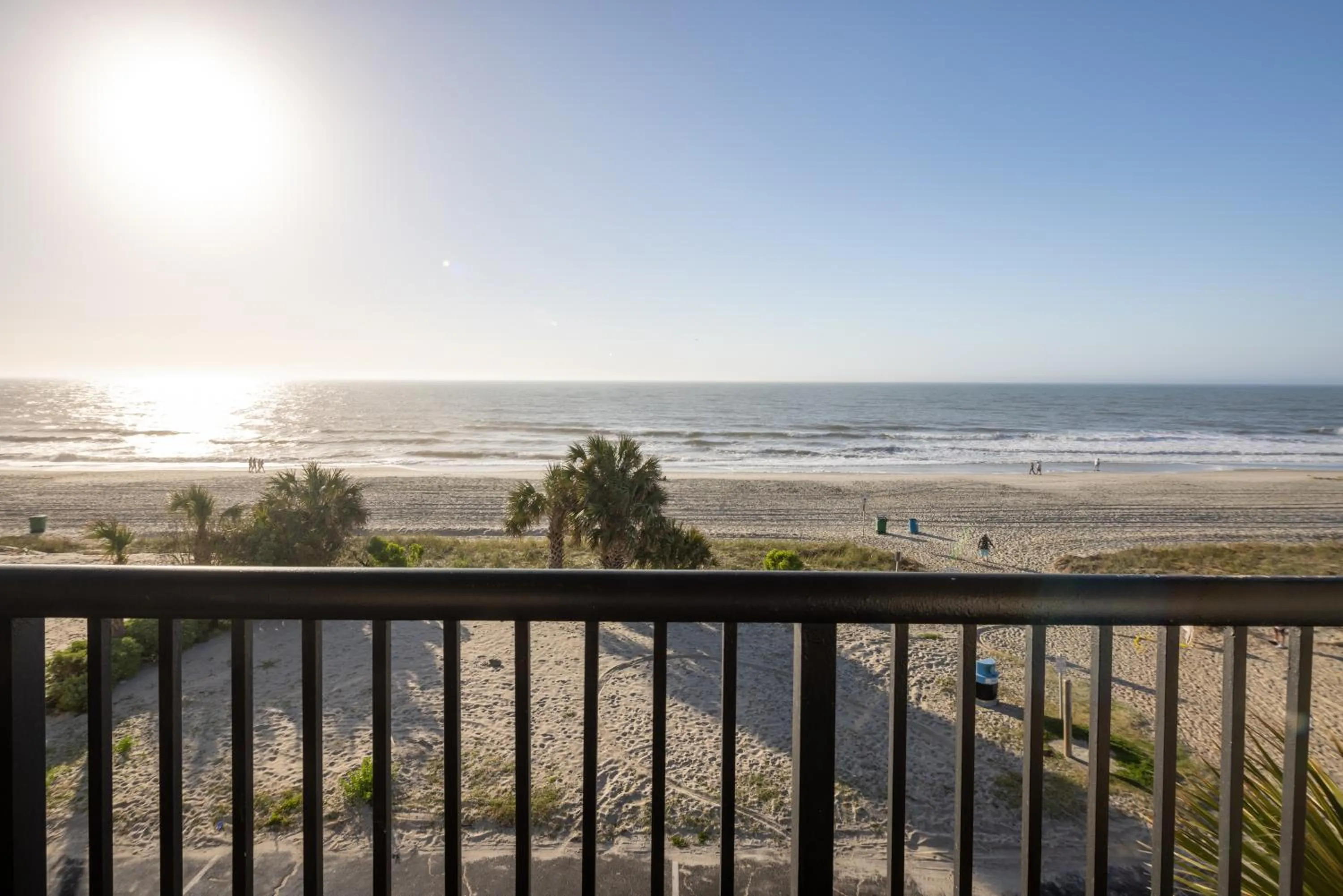 Natural landscape in Aventura on the Ocean