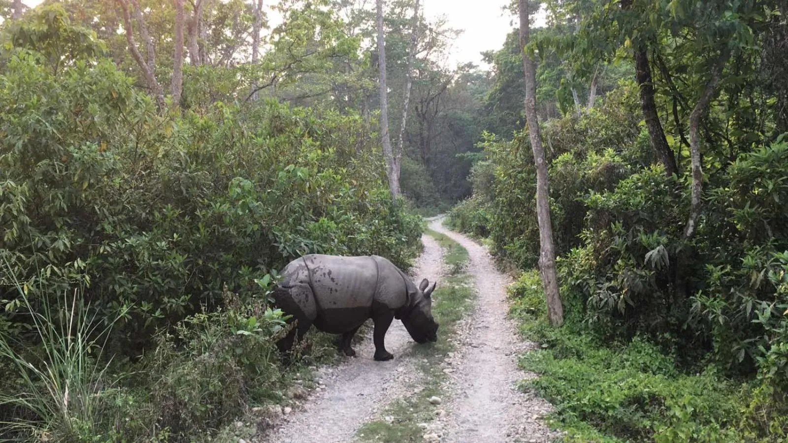 Activities in Hotel BhupuSainik Sauraha, Chitwan