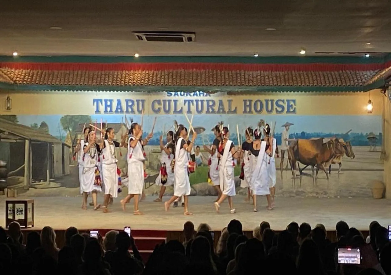 Activities in Hotel BhupuSainik Sauraha, Chitwan