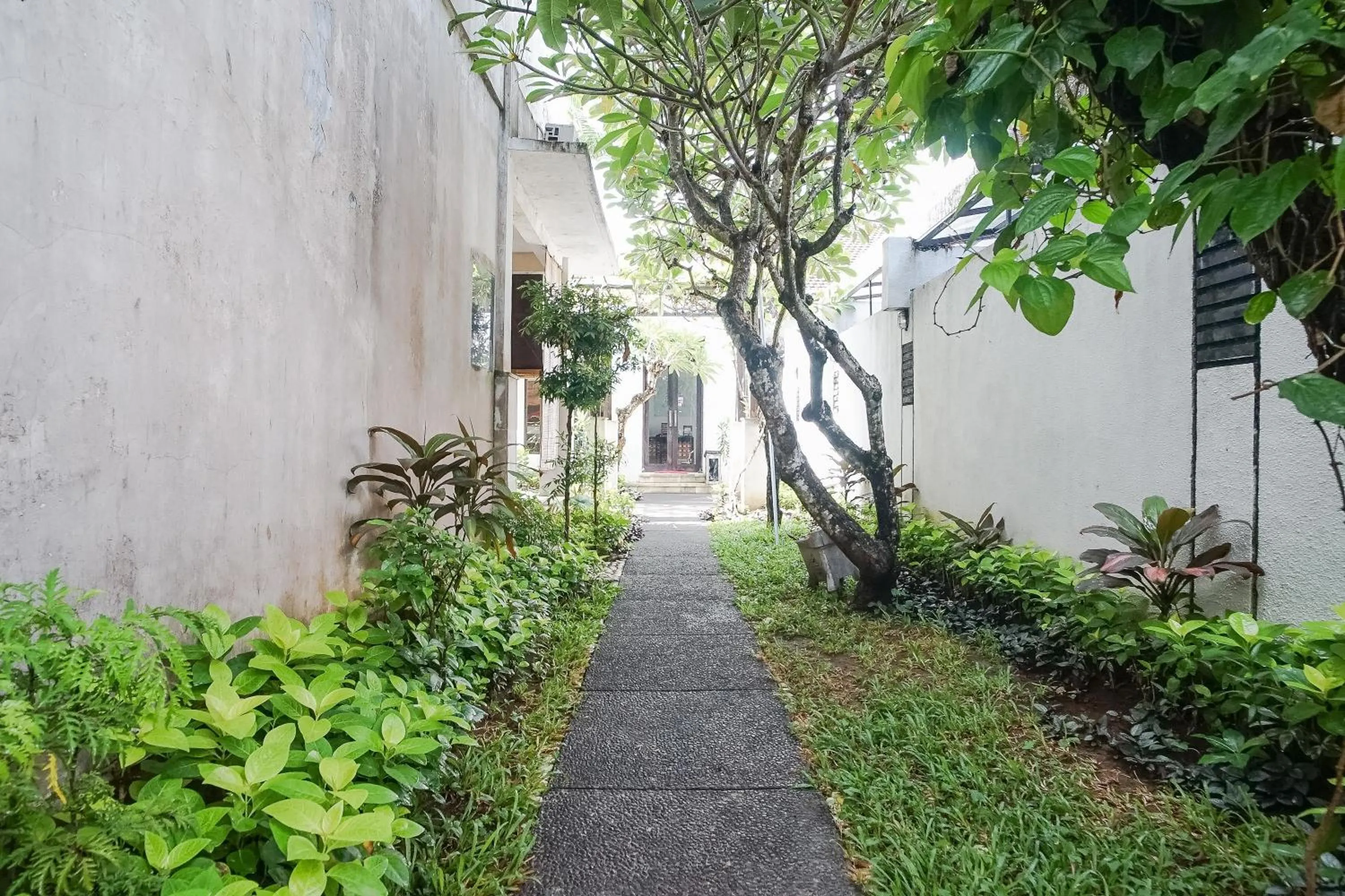 Garden in Queen Rose Villa & Spa