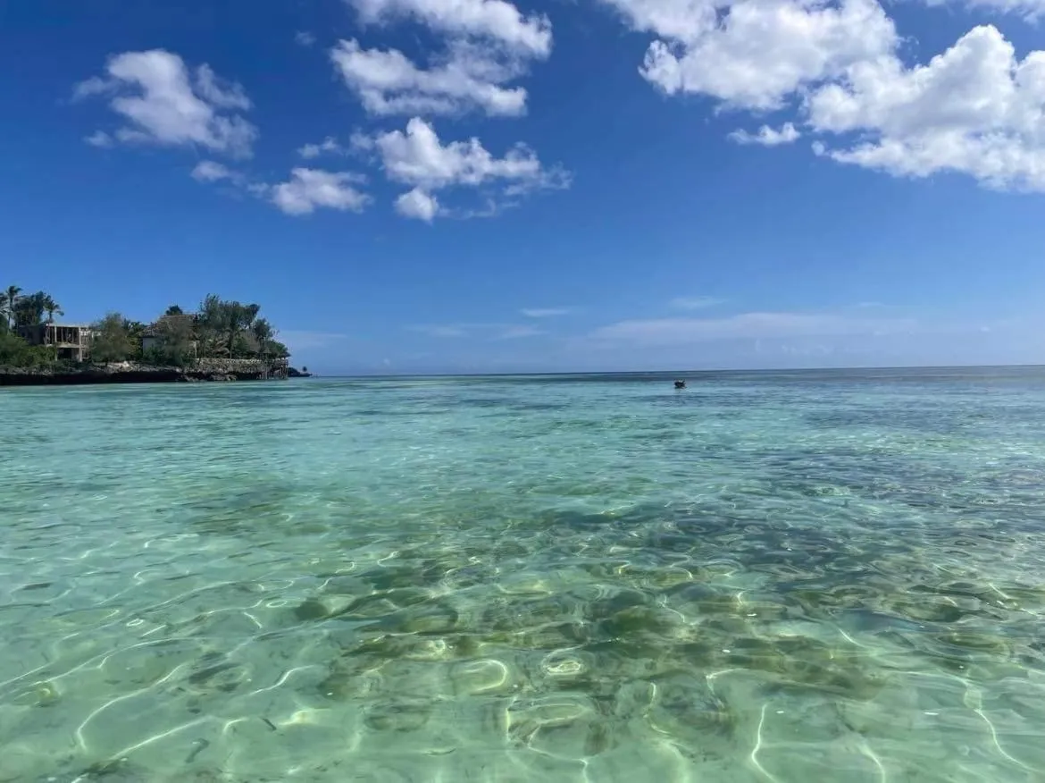 Beach in Kameleon Blue