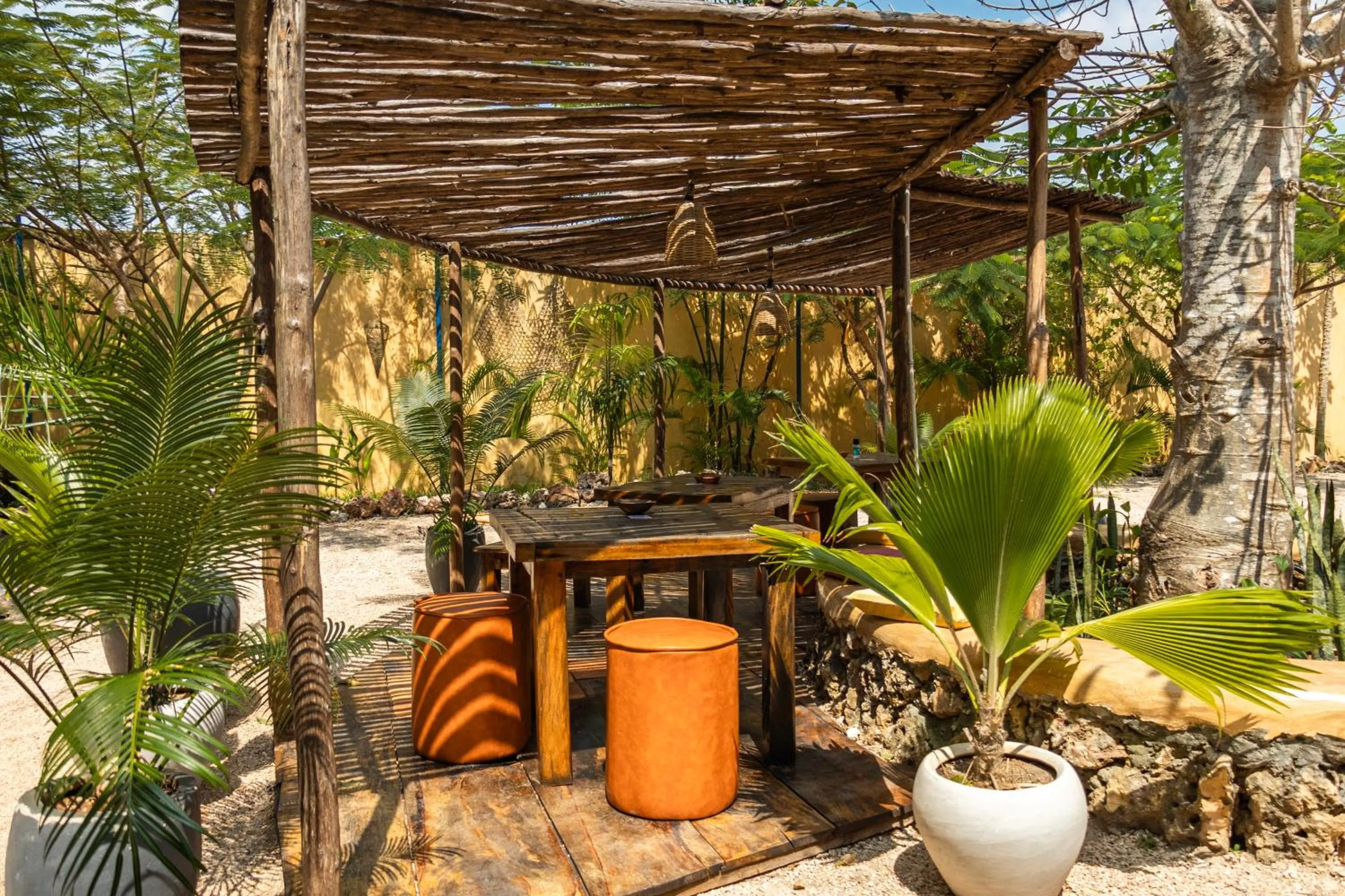 Restaurant/places to eat in Kameleon Blue