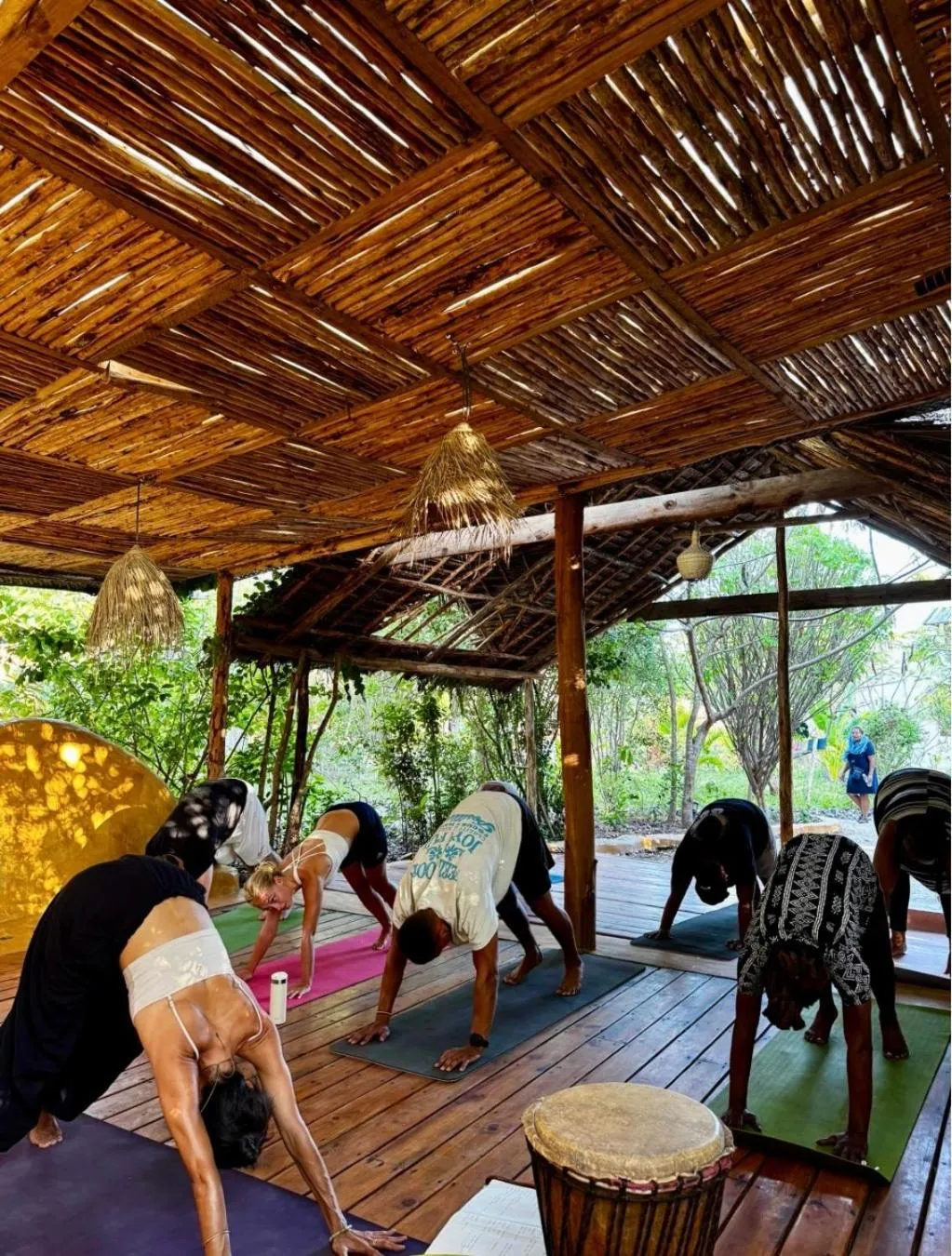 group of guests in Kameleon Blue