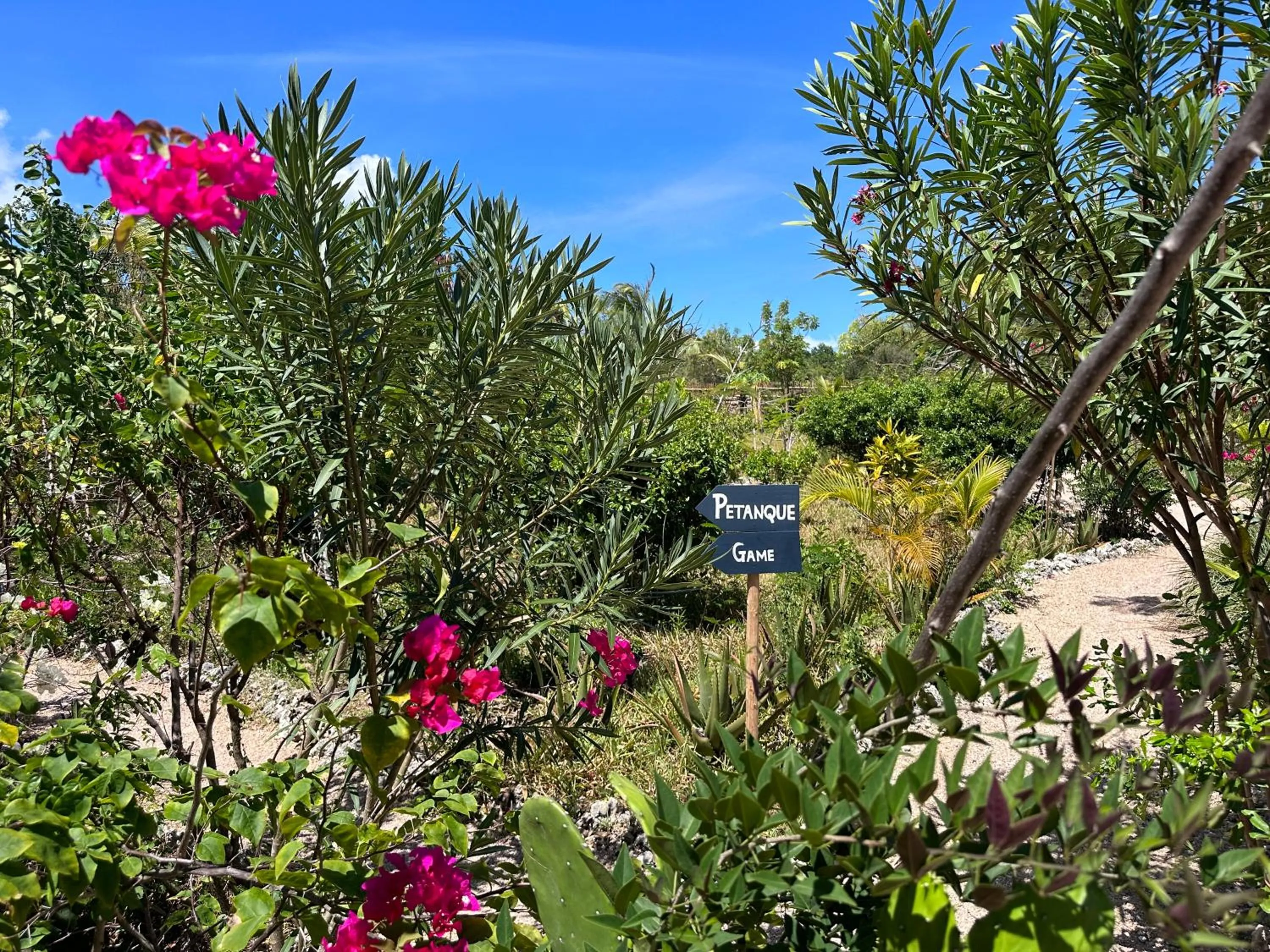 Garden in Kameleon Blue