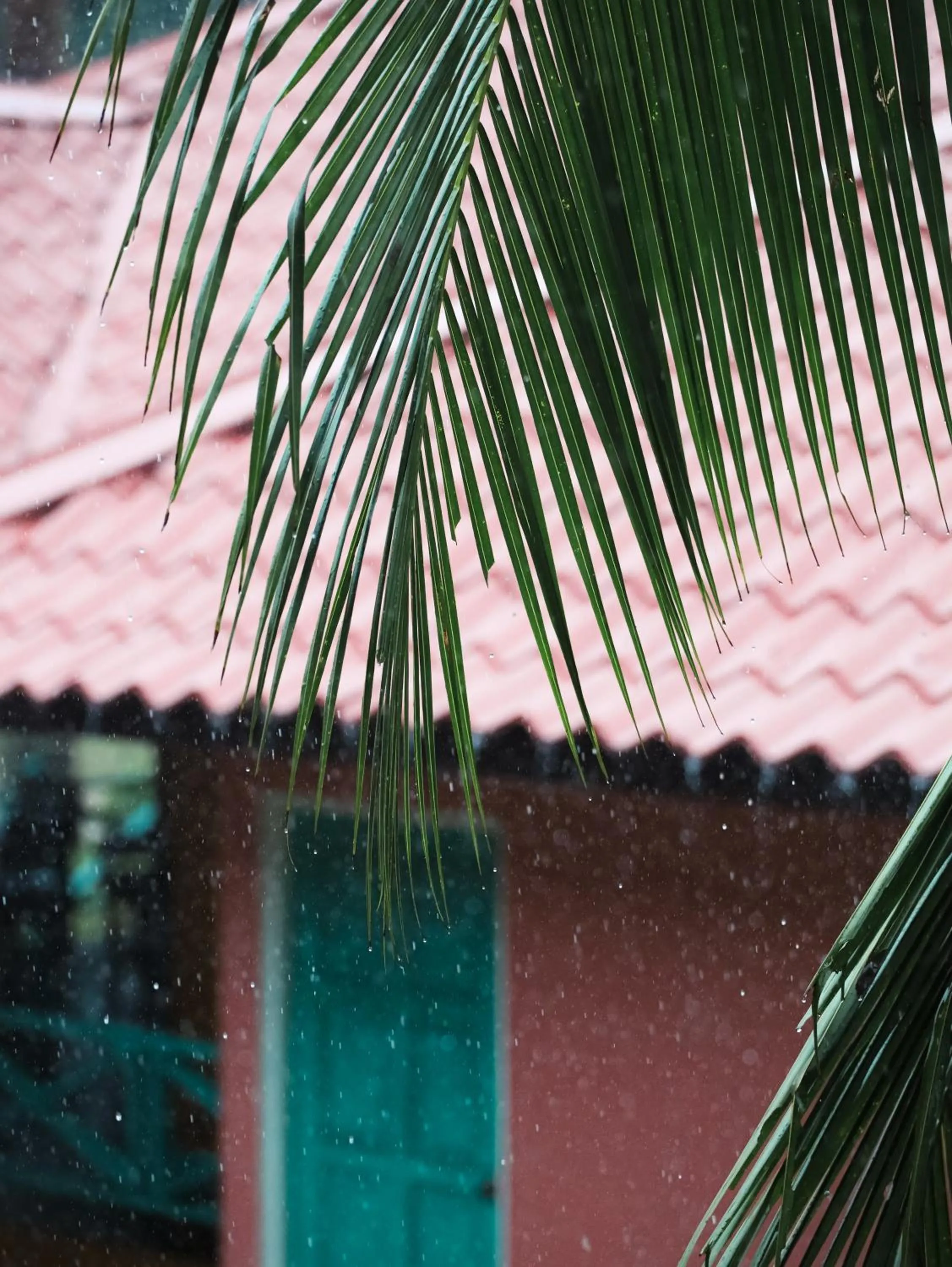 Property building in papaya resort