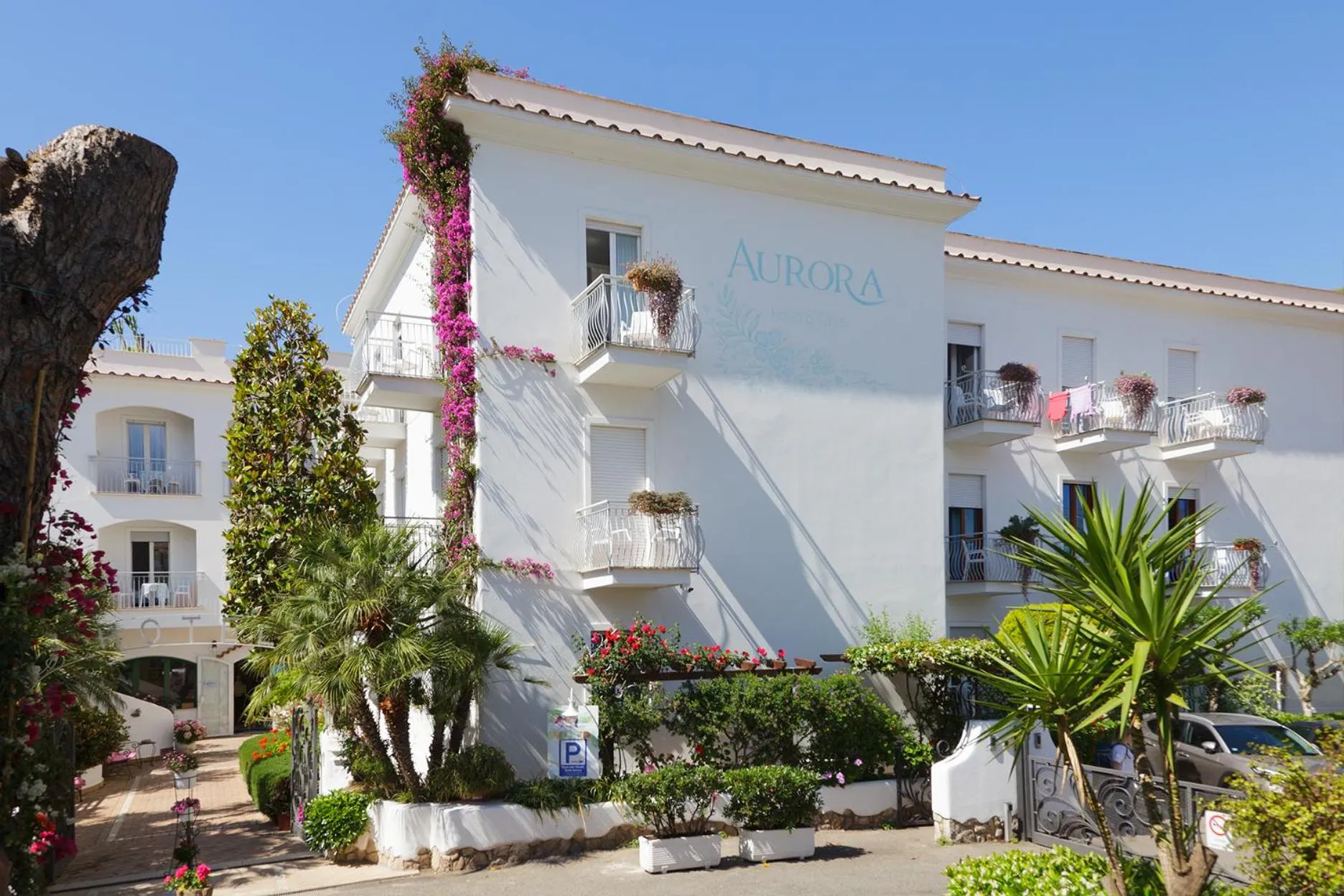 Property building in Hotel Aurora