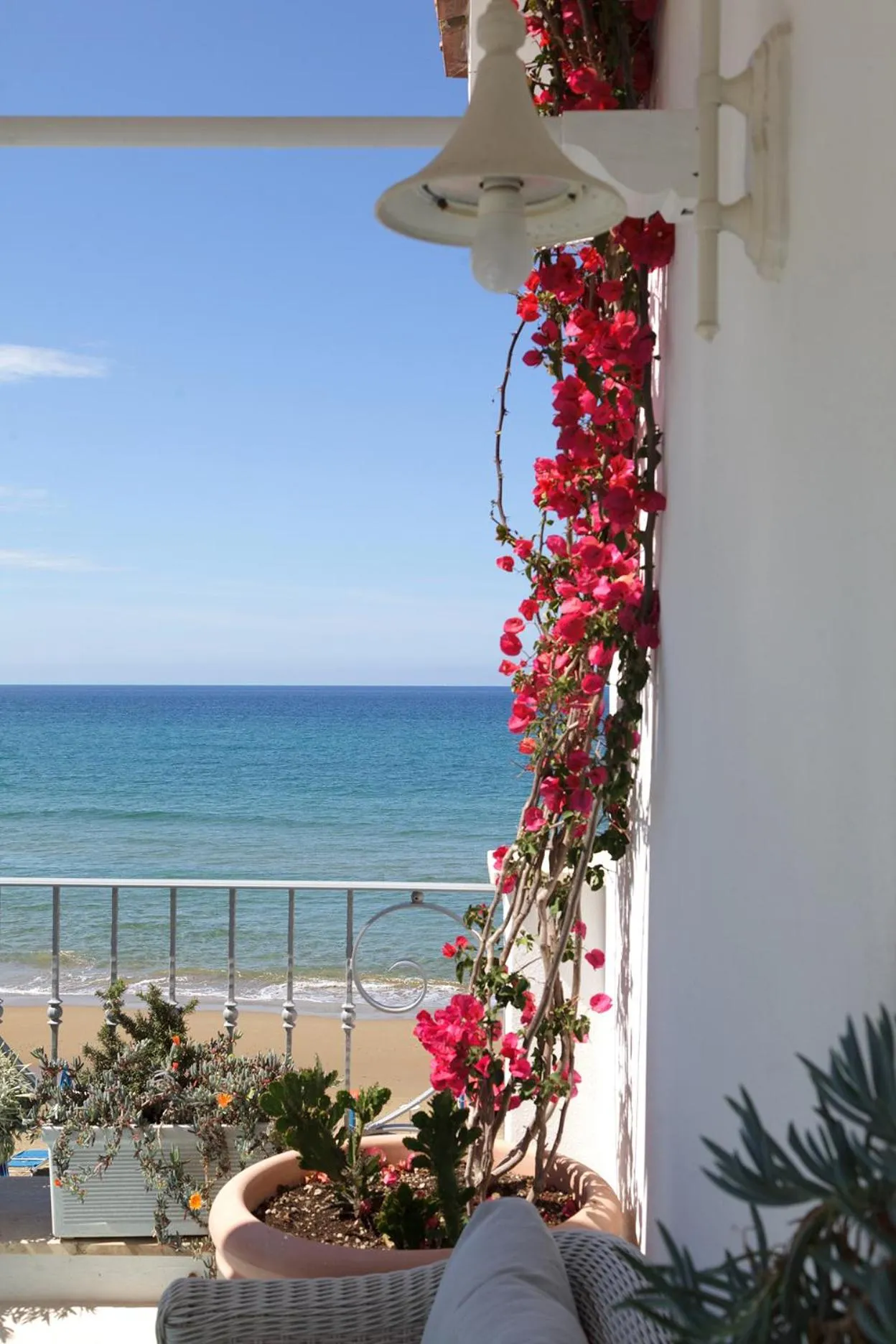 Balcony/Terrace in Hotel Aurora