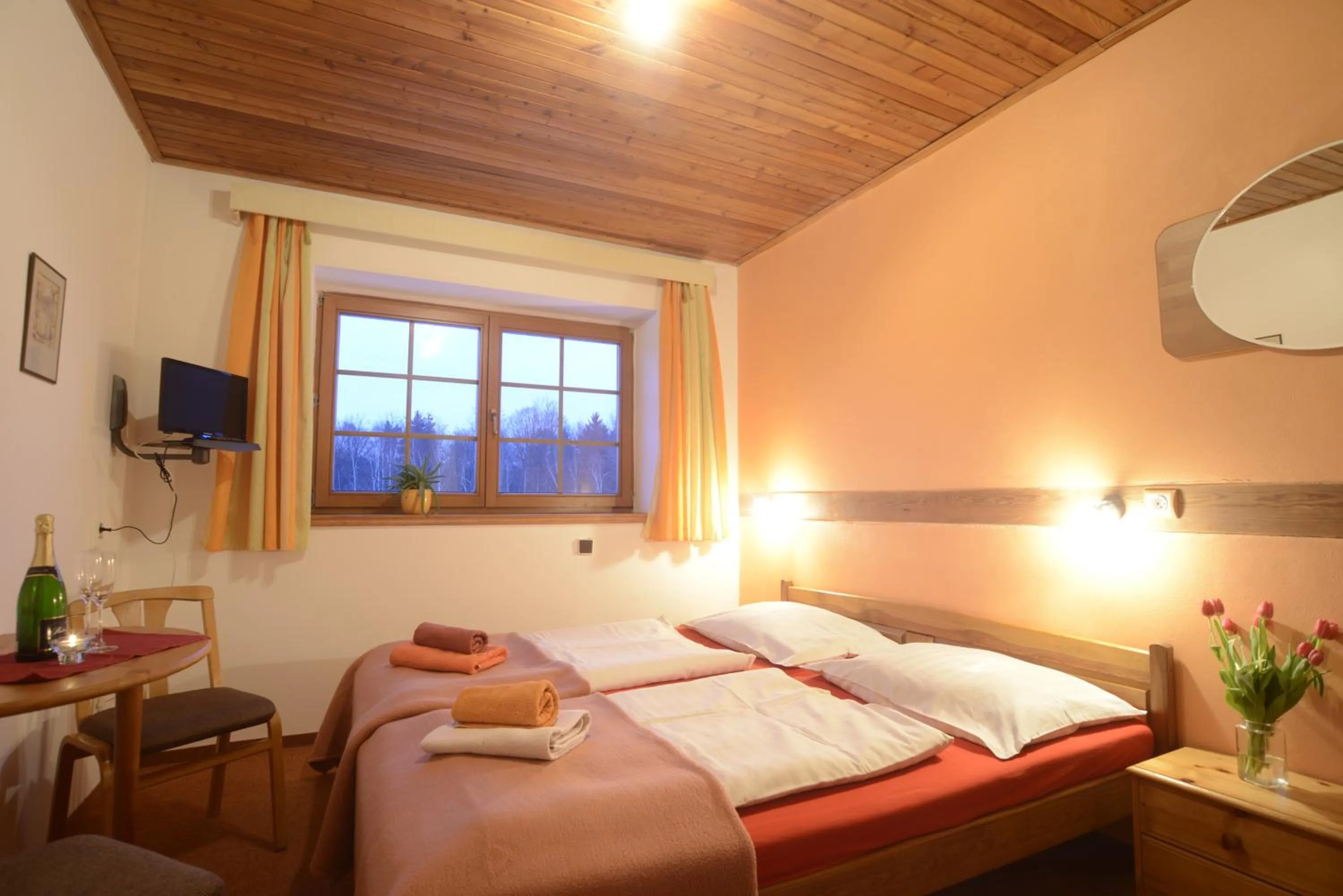 Photo of the whole room, Bed in Penzion Mašek