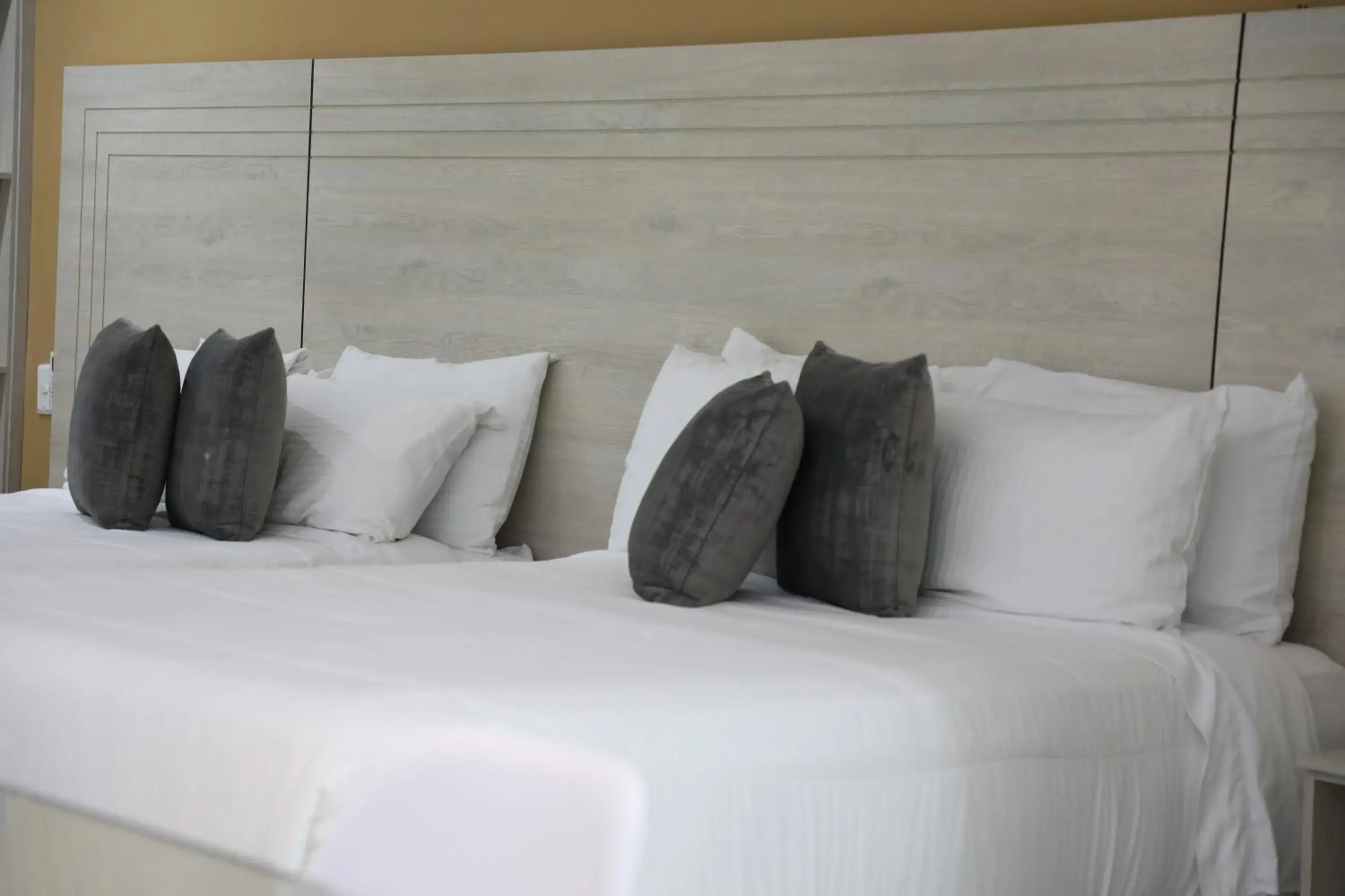 Standard Twin Room - single occupancy in Hotel Súper Estrellas Standard Twin Room - single occupancy in Hotel Súper Estrellas