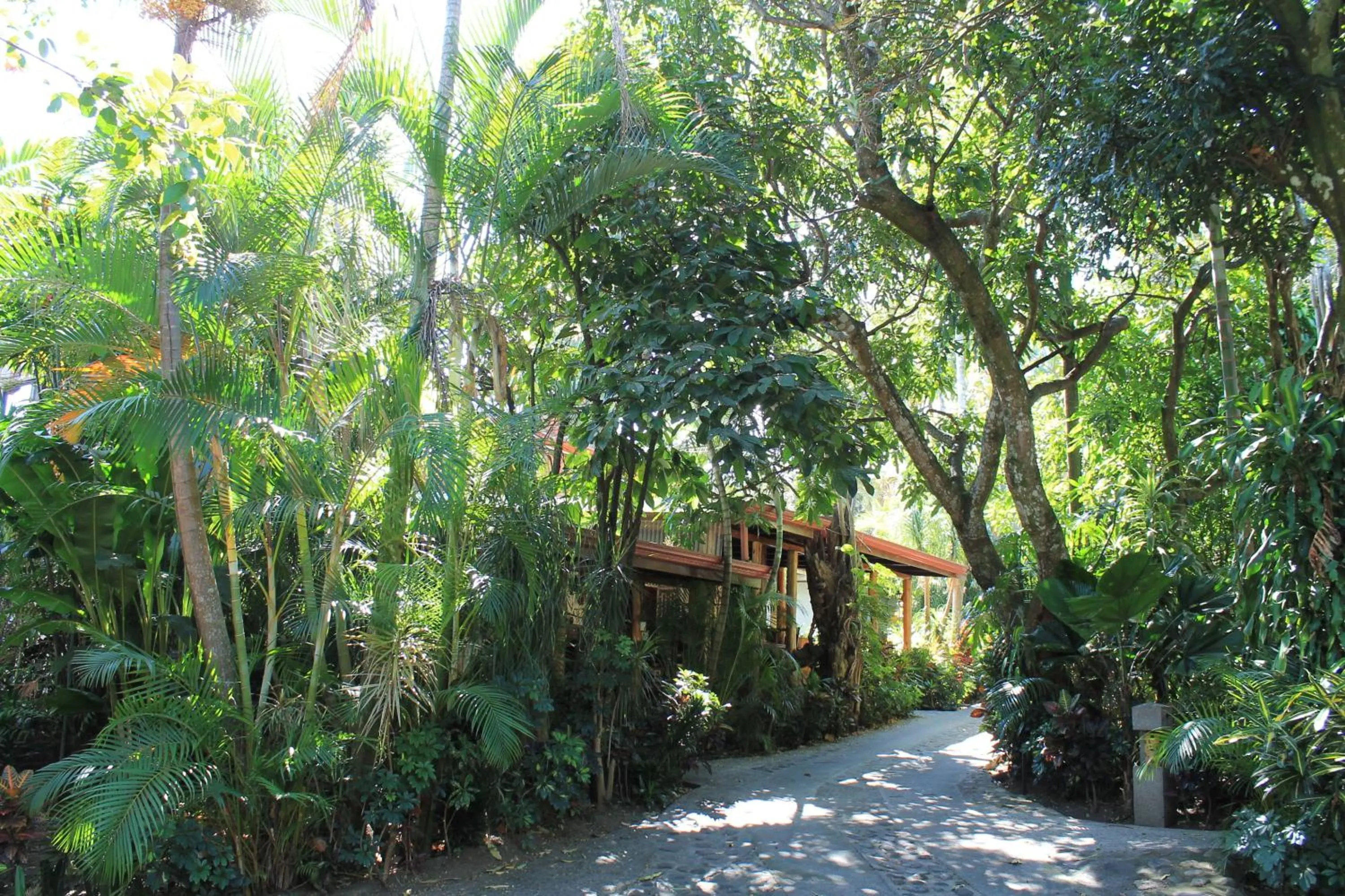 Garden in Costa Verde Inn