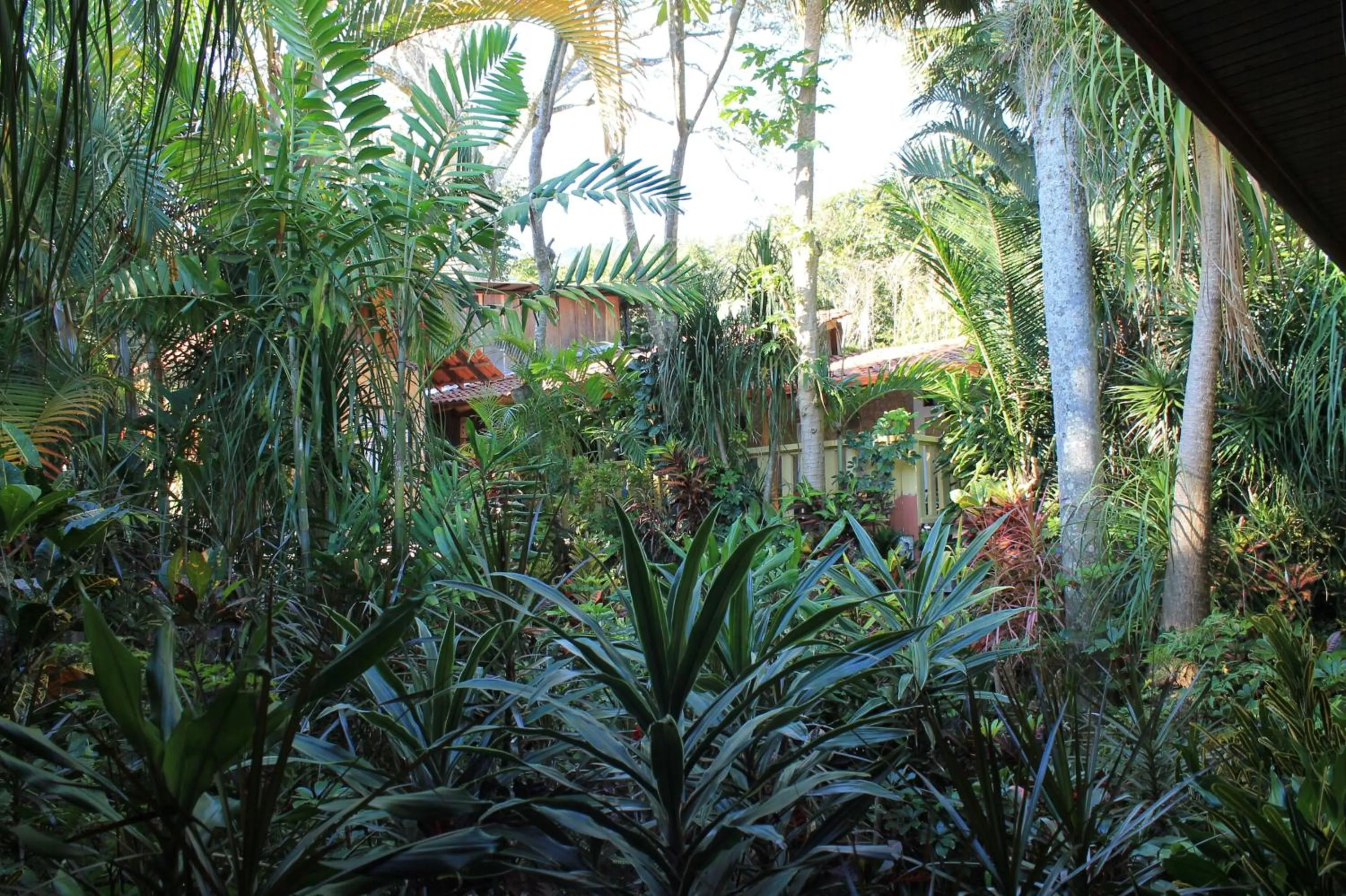 Day in Costa Verde Inn