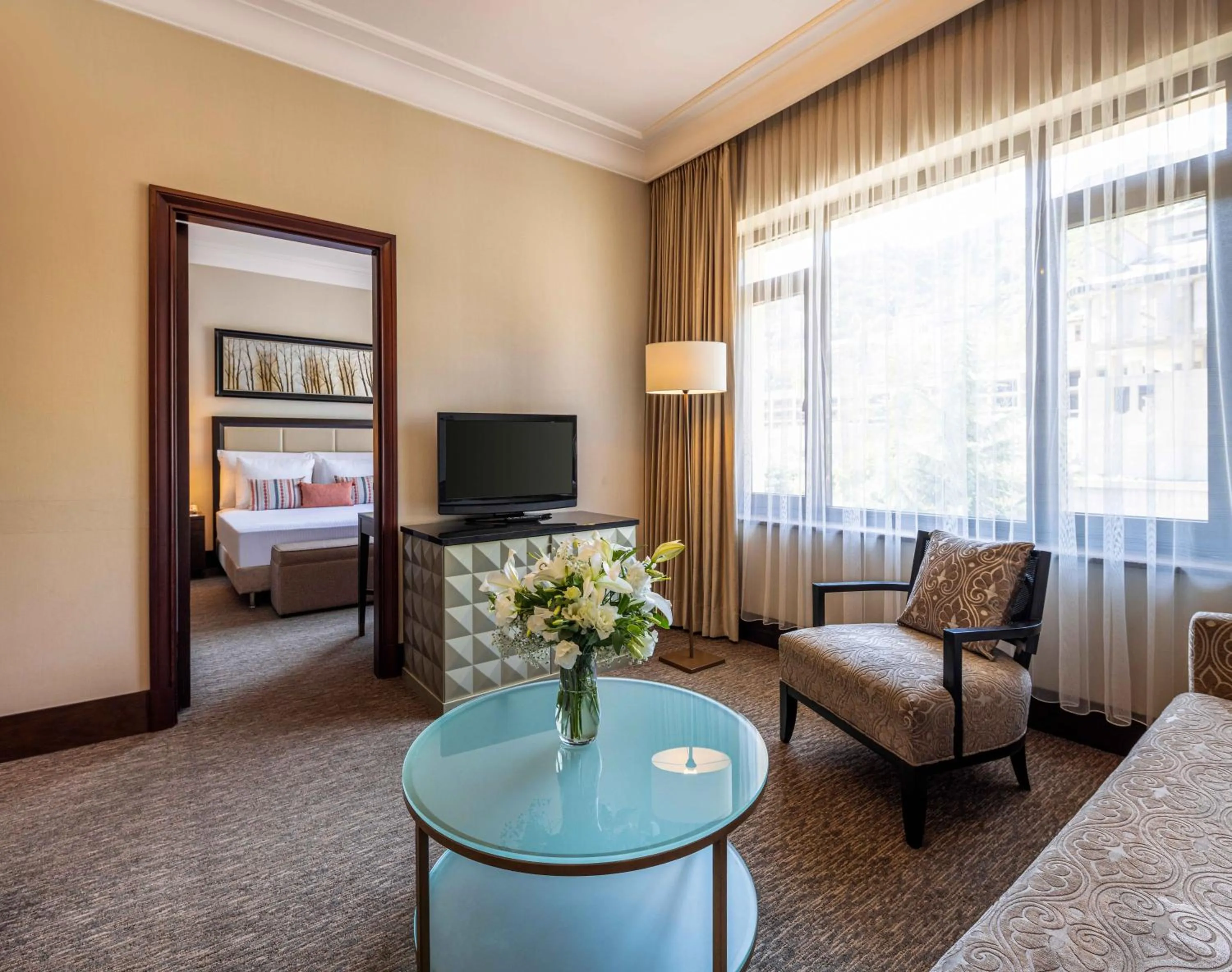 TV and multimedia, Bed in Hotel Çelik Palas Convention Center & Thermal SPA