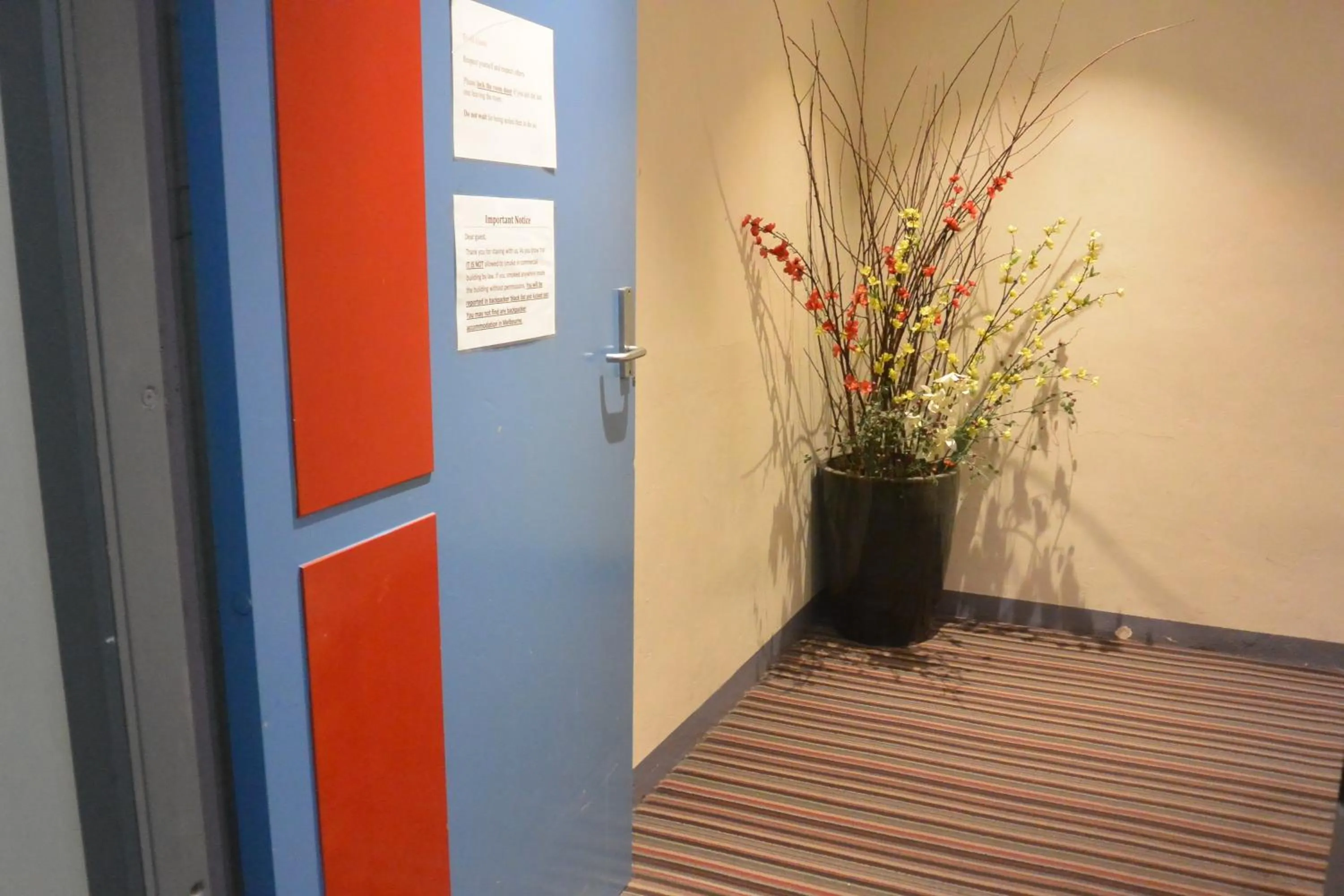 Facade/entrance in Elizabeth Hostel