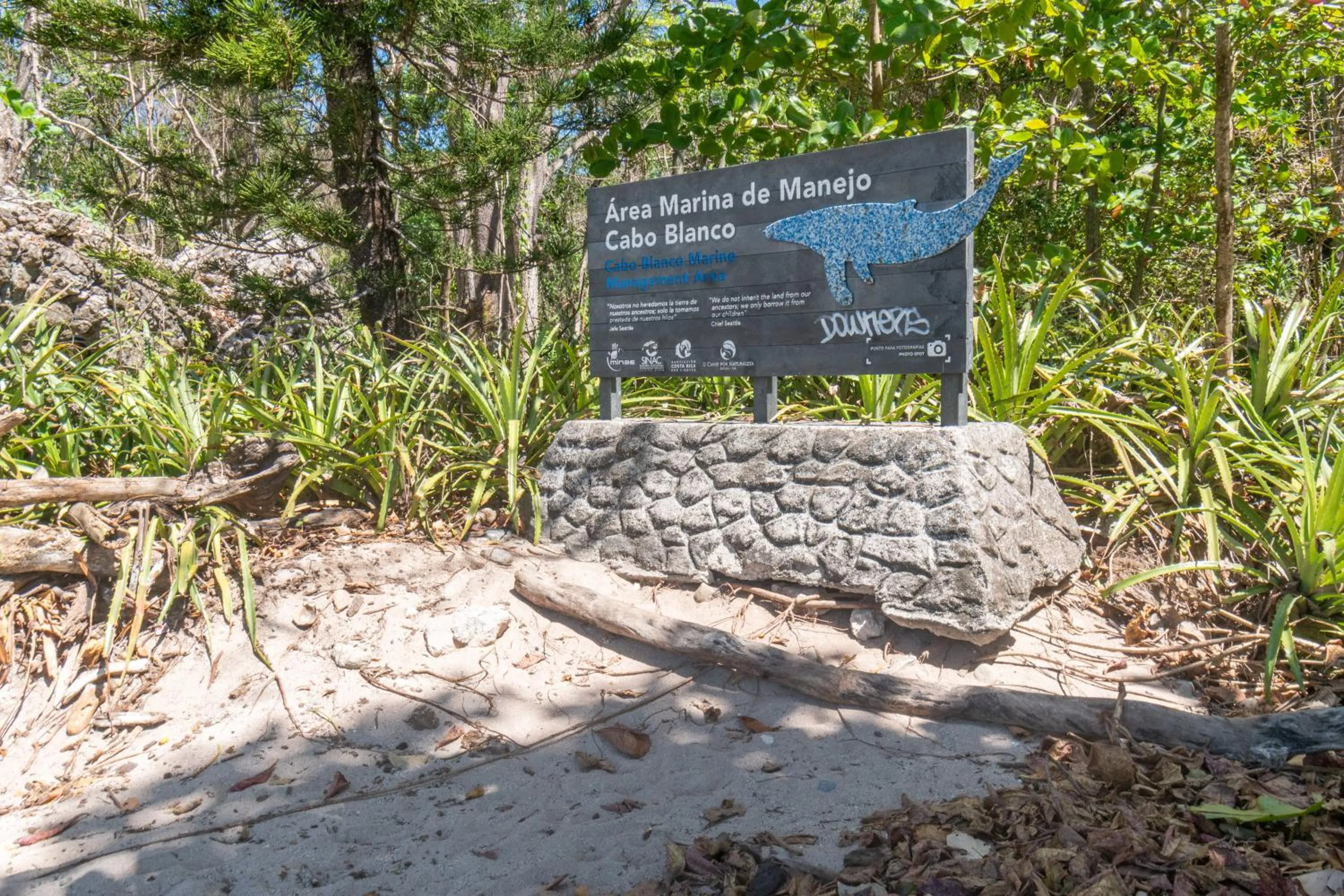 Natural landscape in Ventura Santa Teresa