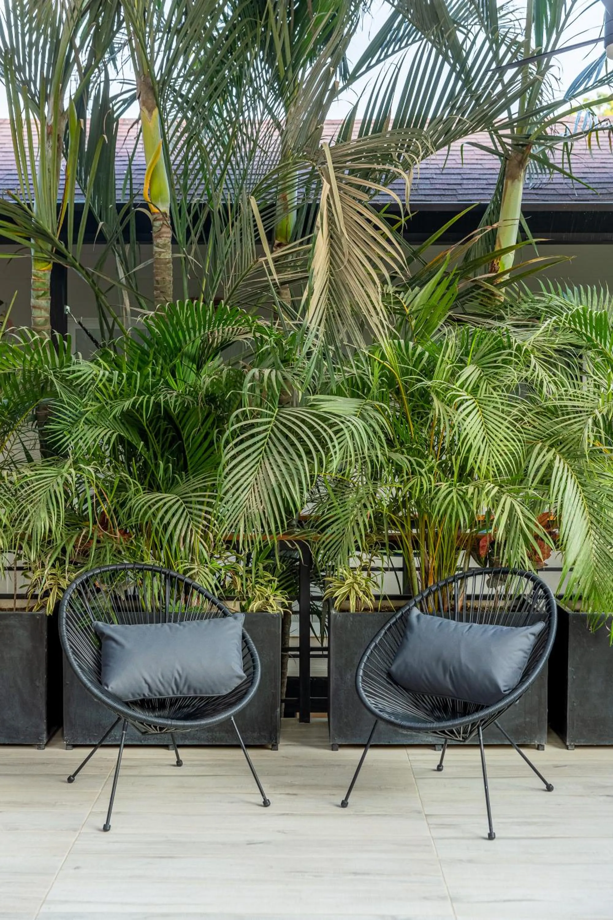 Day in Ventura Santa Teresa