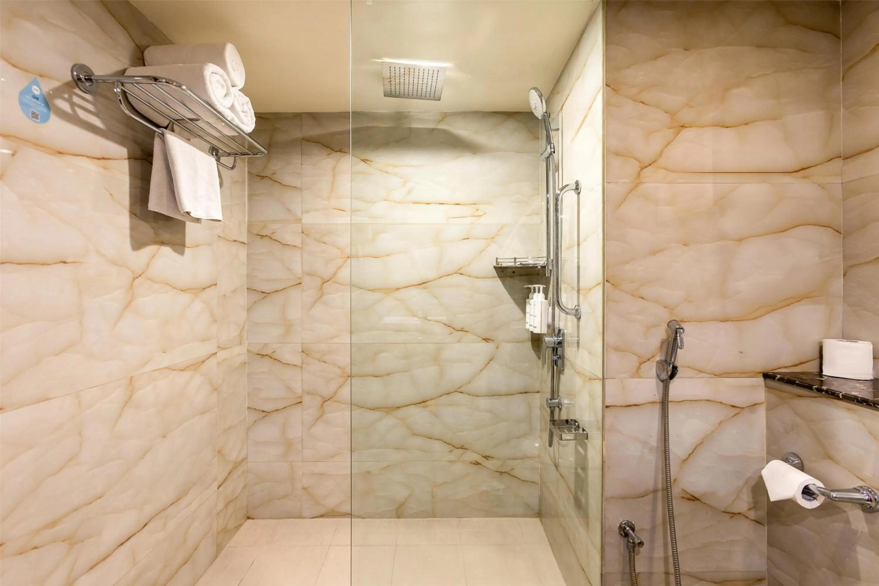 Bathroom in Radisson Srinagar