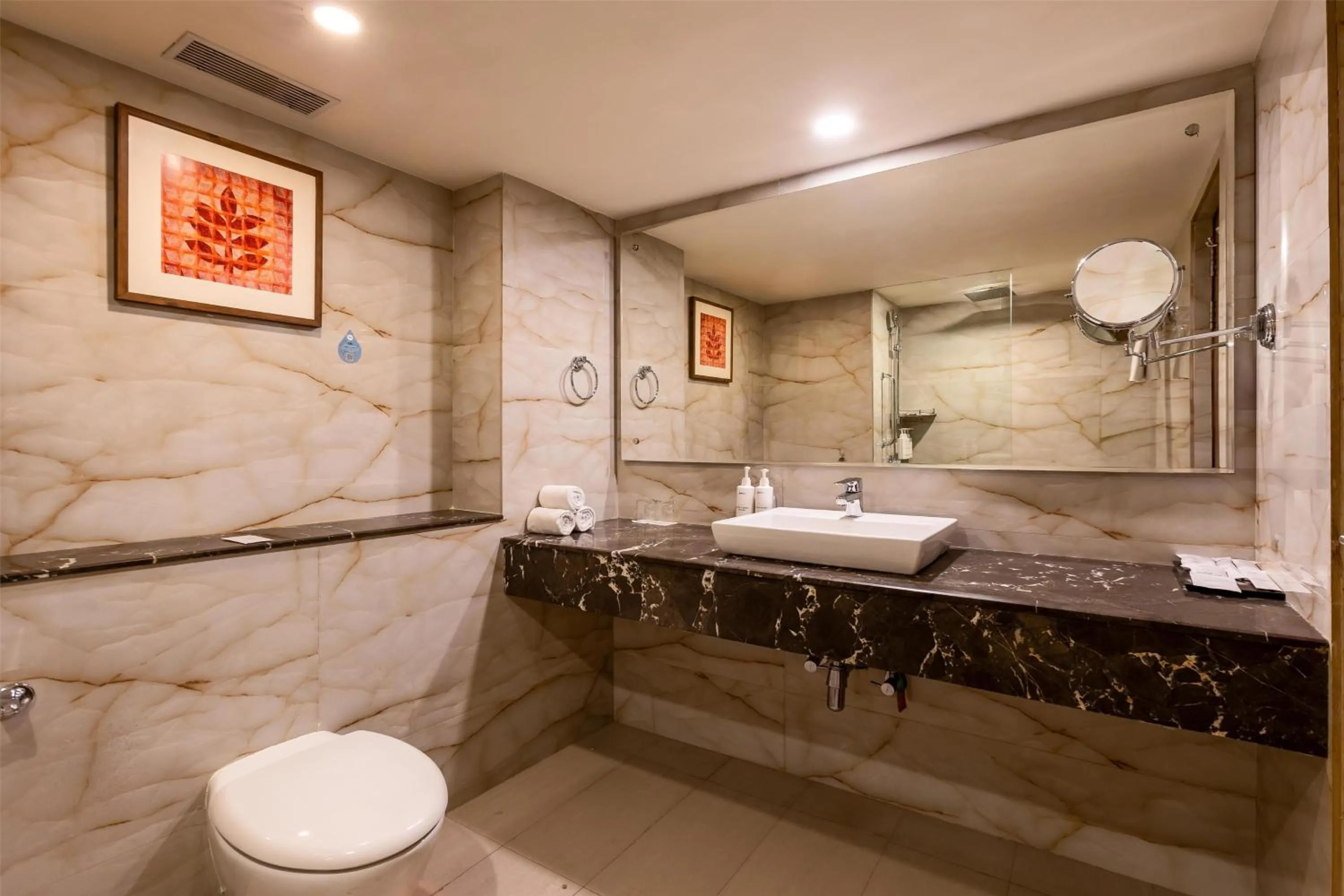 Bathroom in Radisson Srinagar