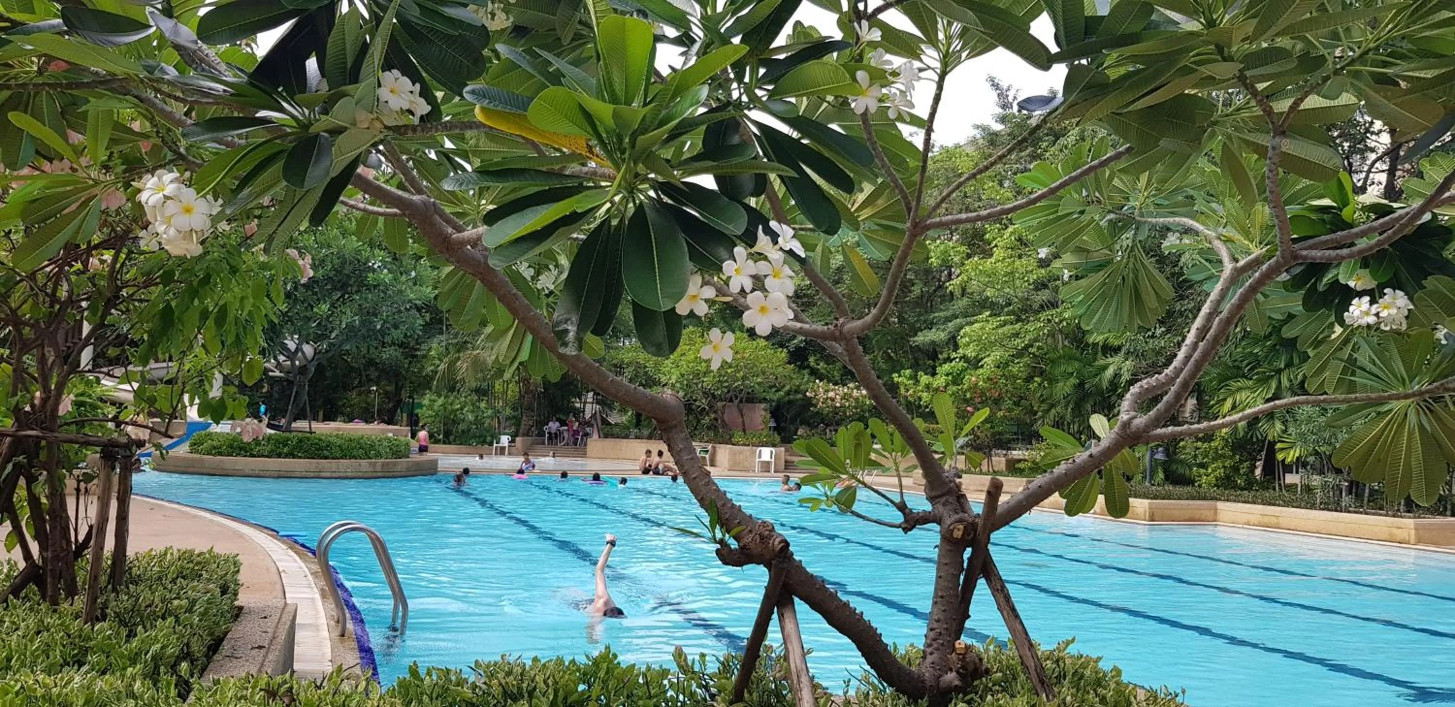 Garden in The Park Land Bangna by Nudda